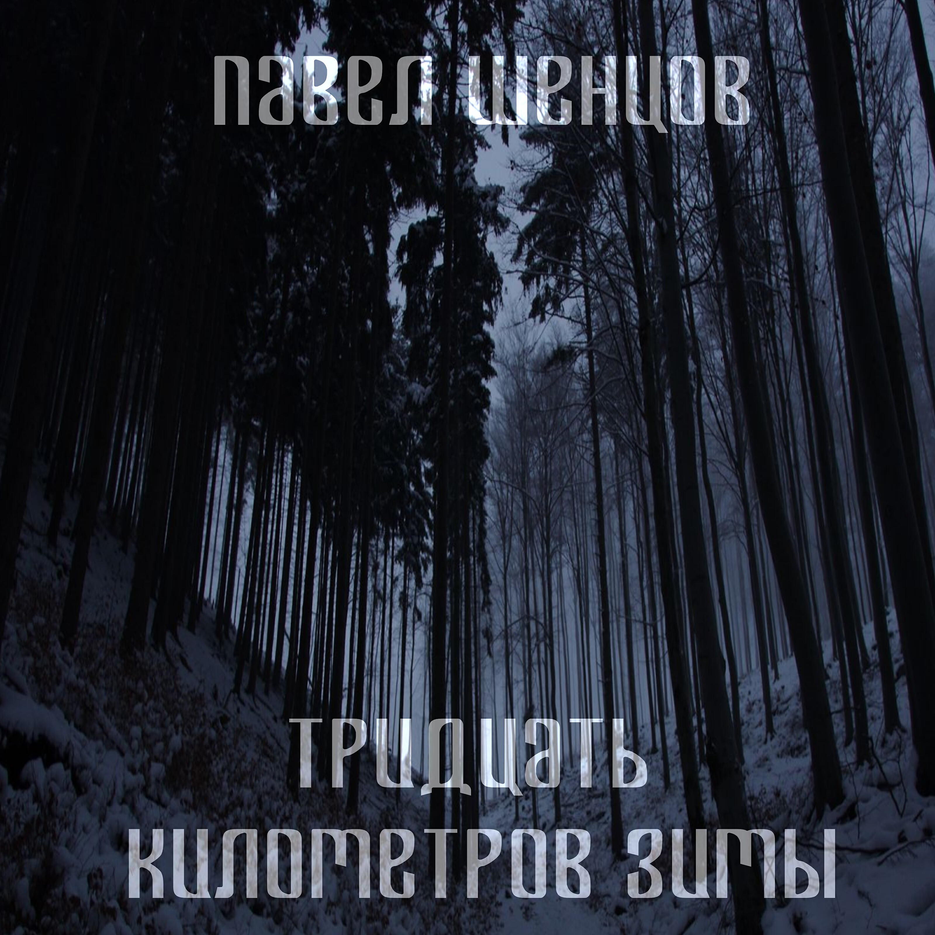 Релиз Тридцать километров Зимы