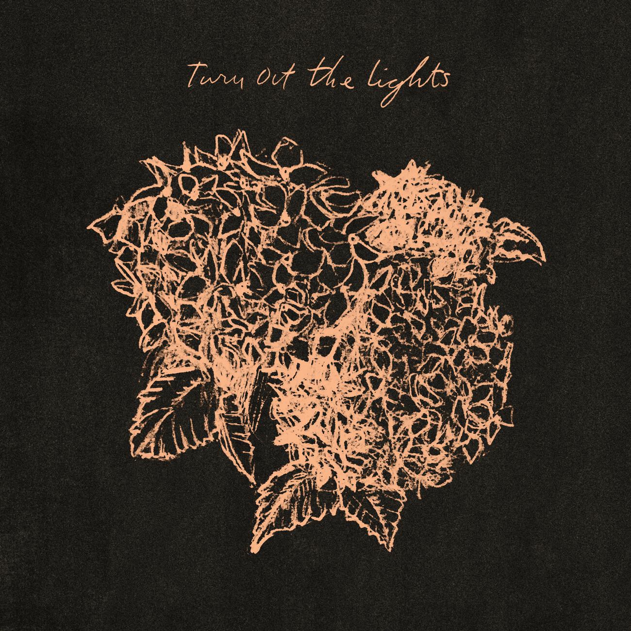 Релиз Turn Out the Lights