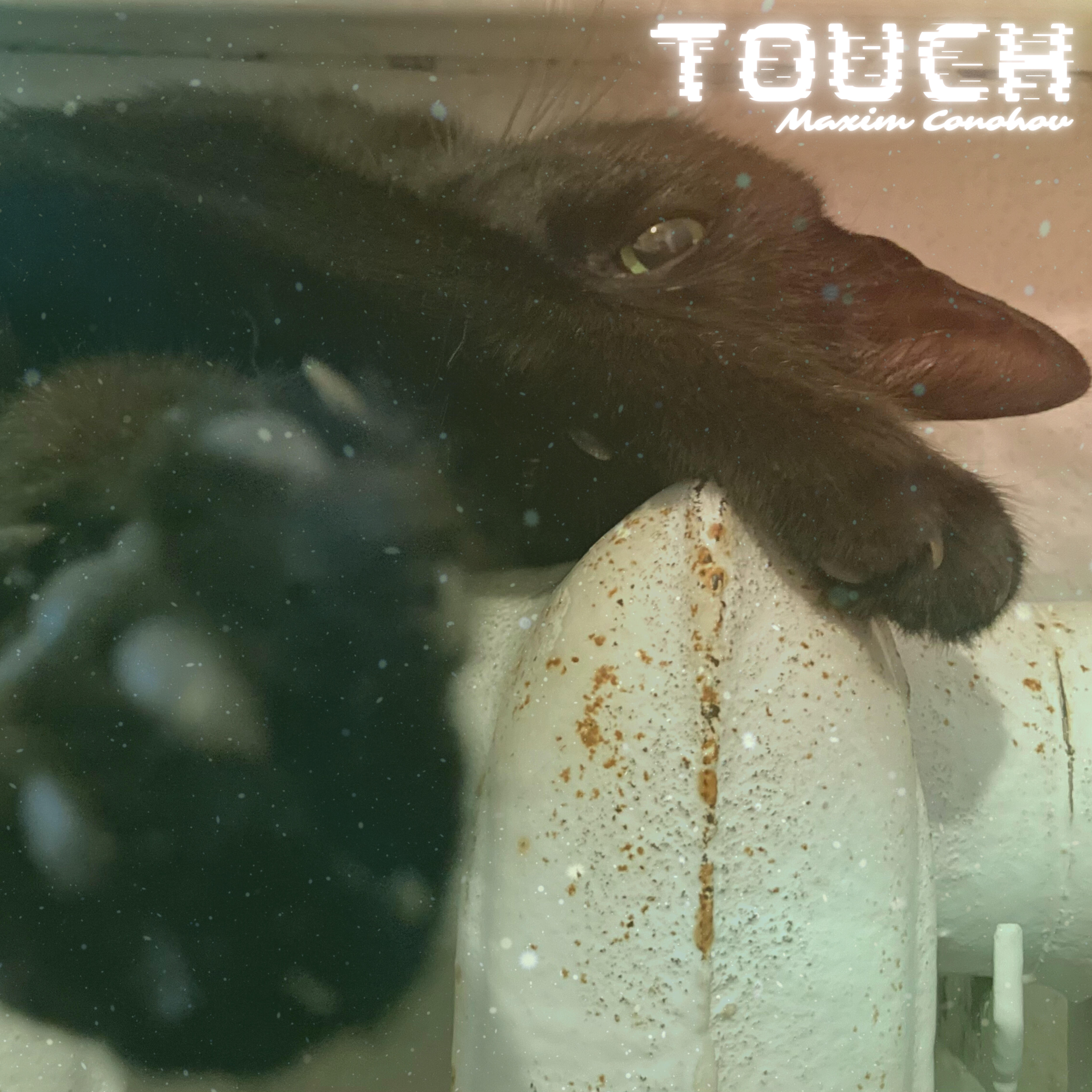 Трек Touch