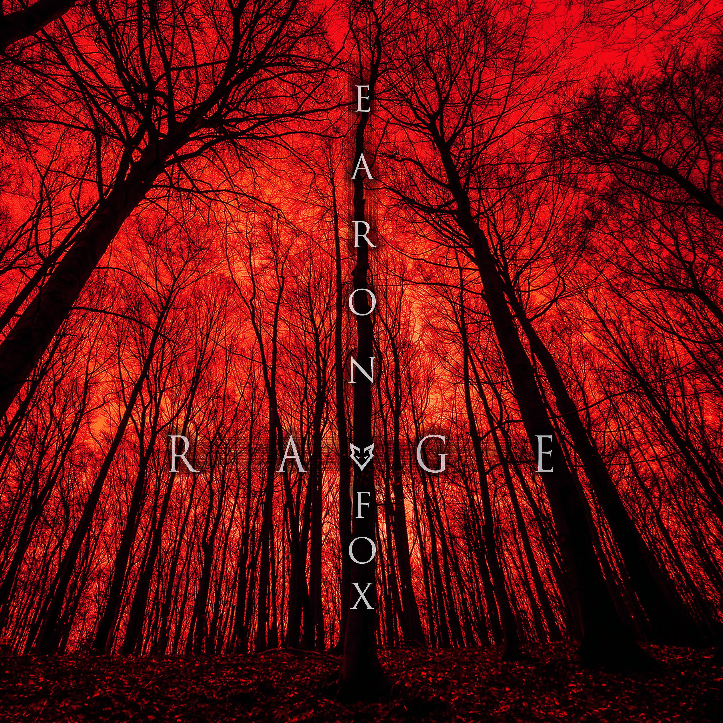 Постер альбома Rage