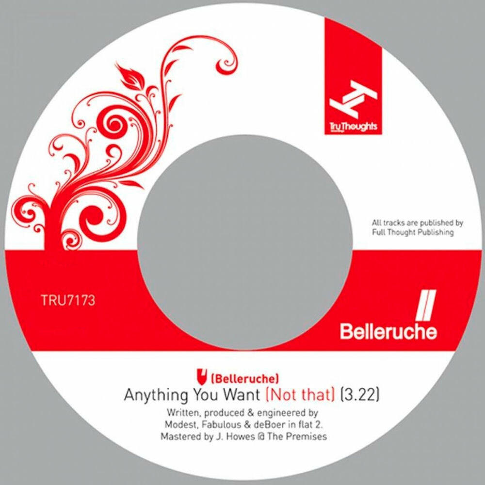 Релиз Anything You Want (Not That)