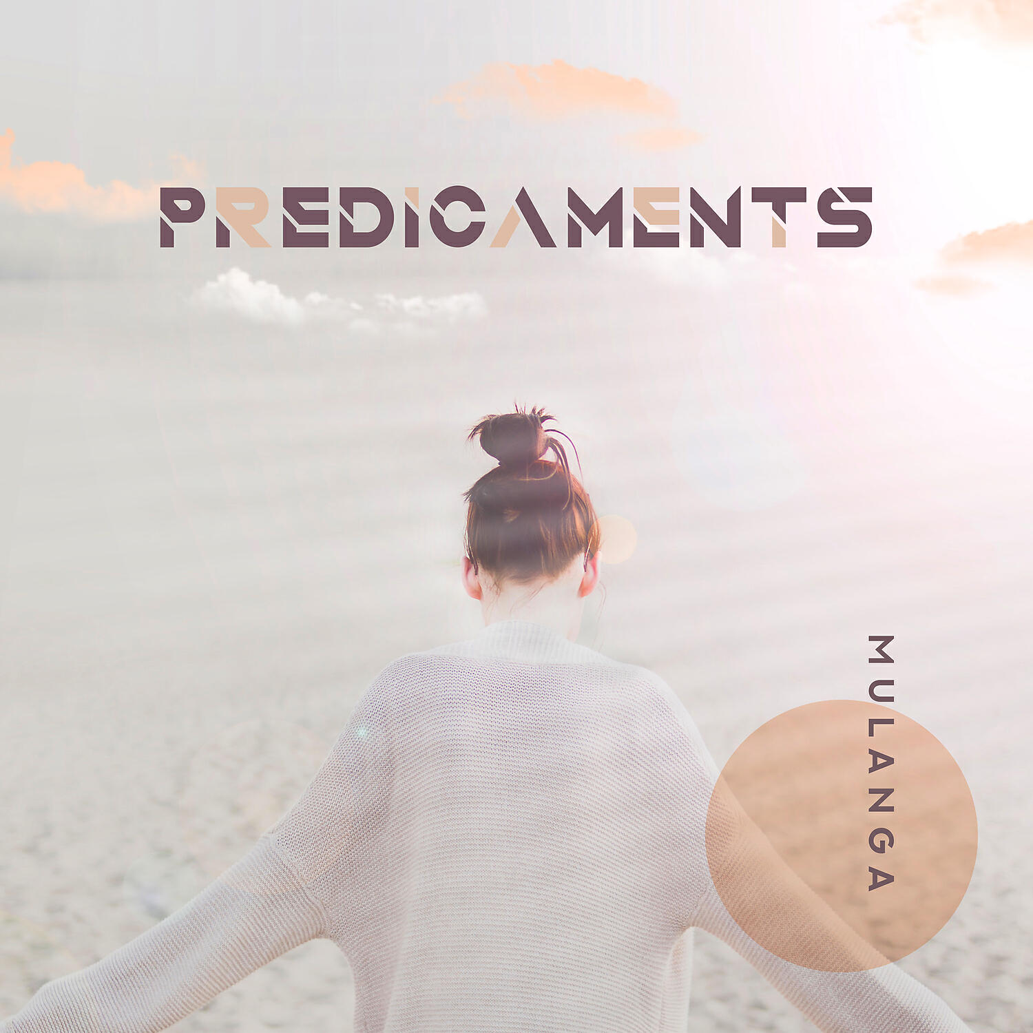 Релиз Predicaments