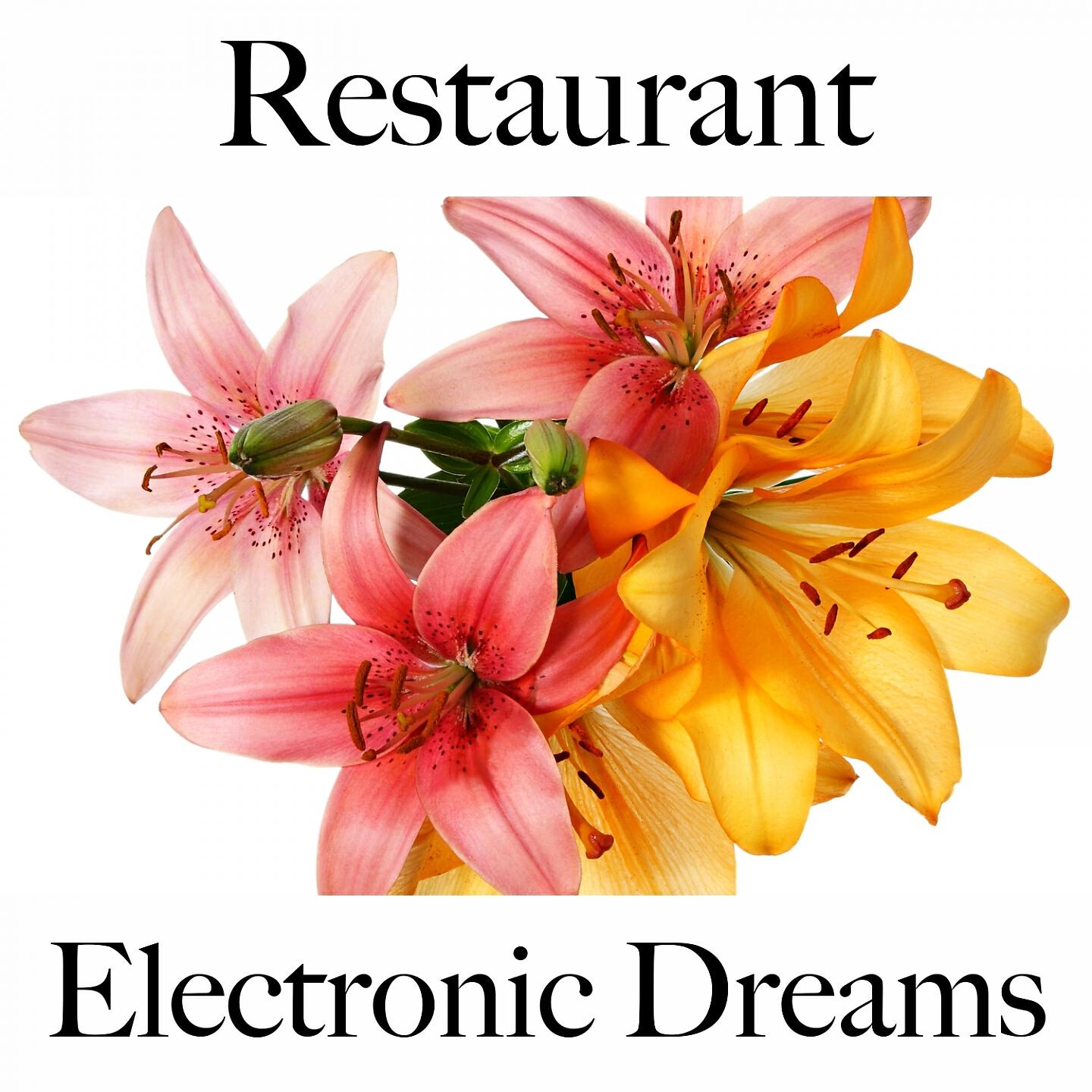 Релиз Restaurant: Electronic Dreams - Les Meilleurs Sons Pour Se Détendre