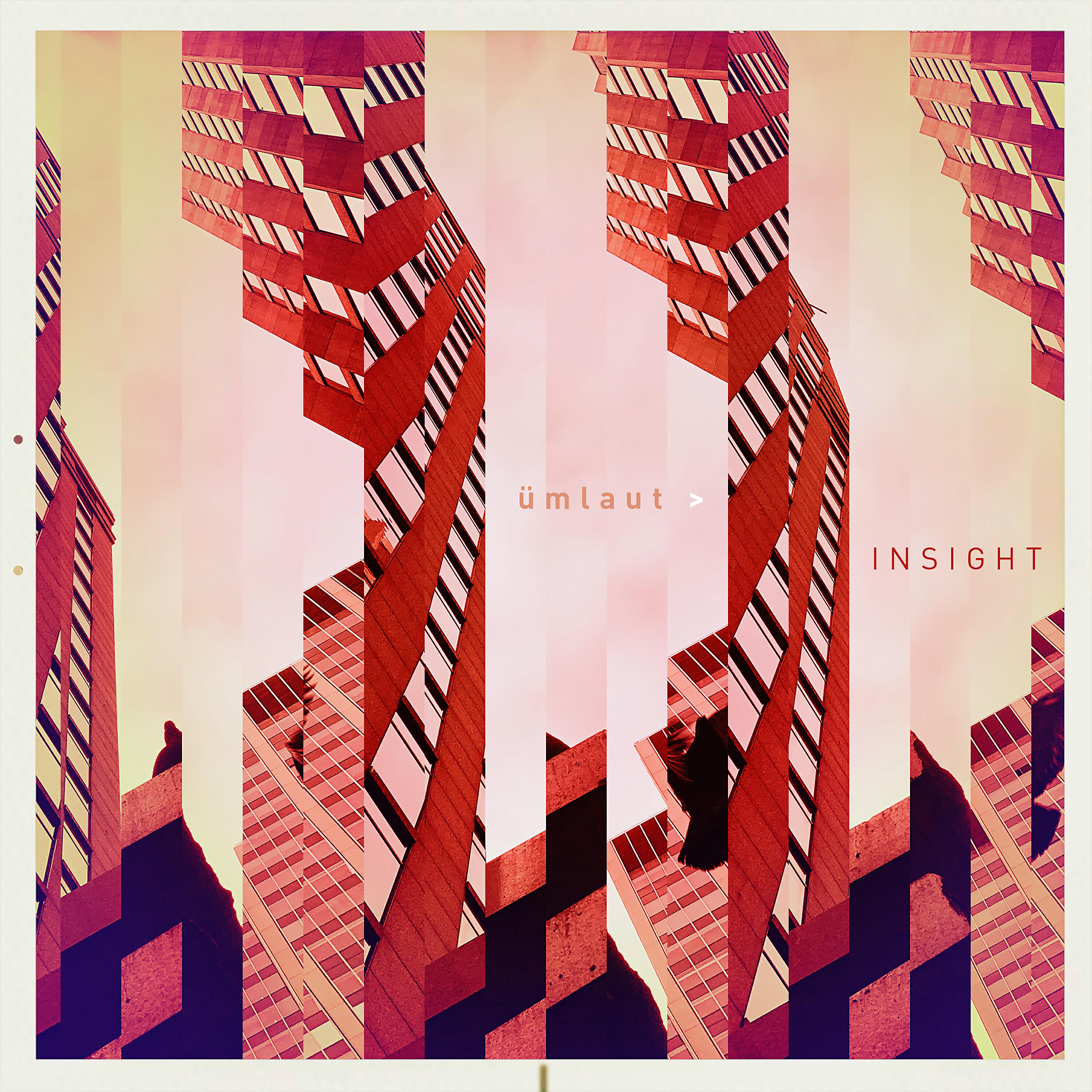 Релиз Insight