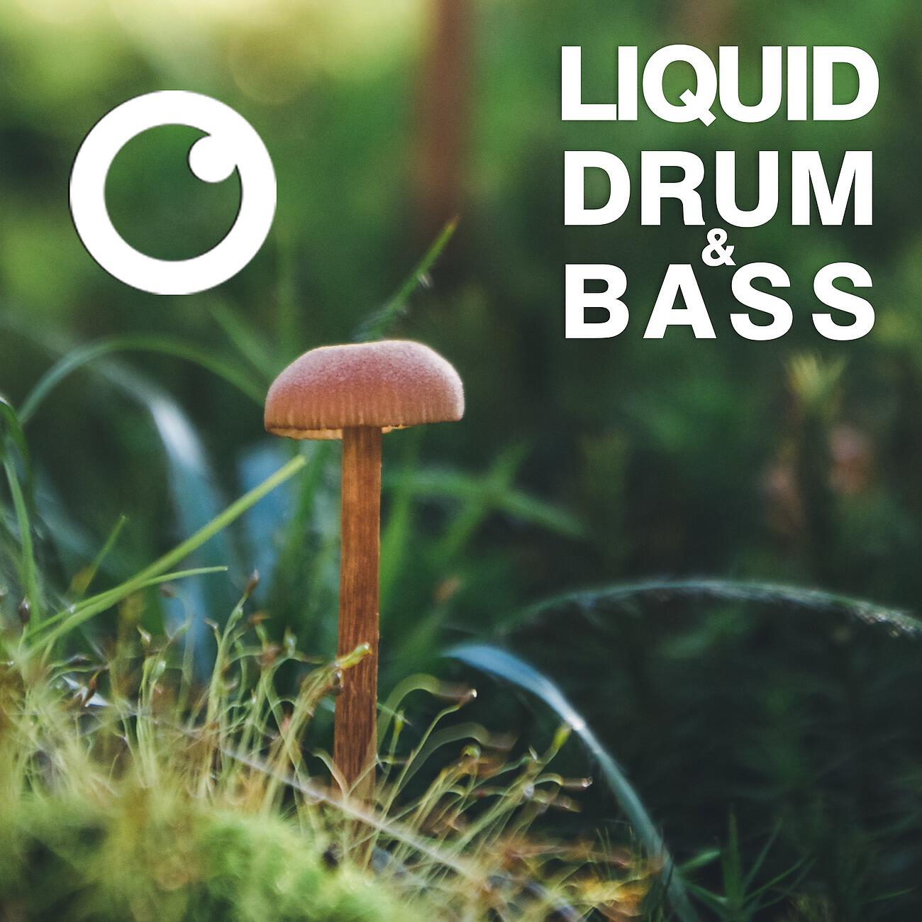 Постер альбома Liquid Drum & Bass Sessions 2020 Vol 39 : The Mix