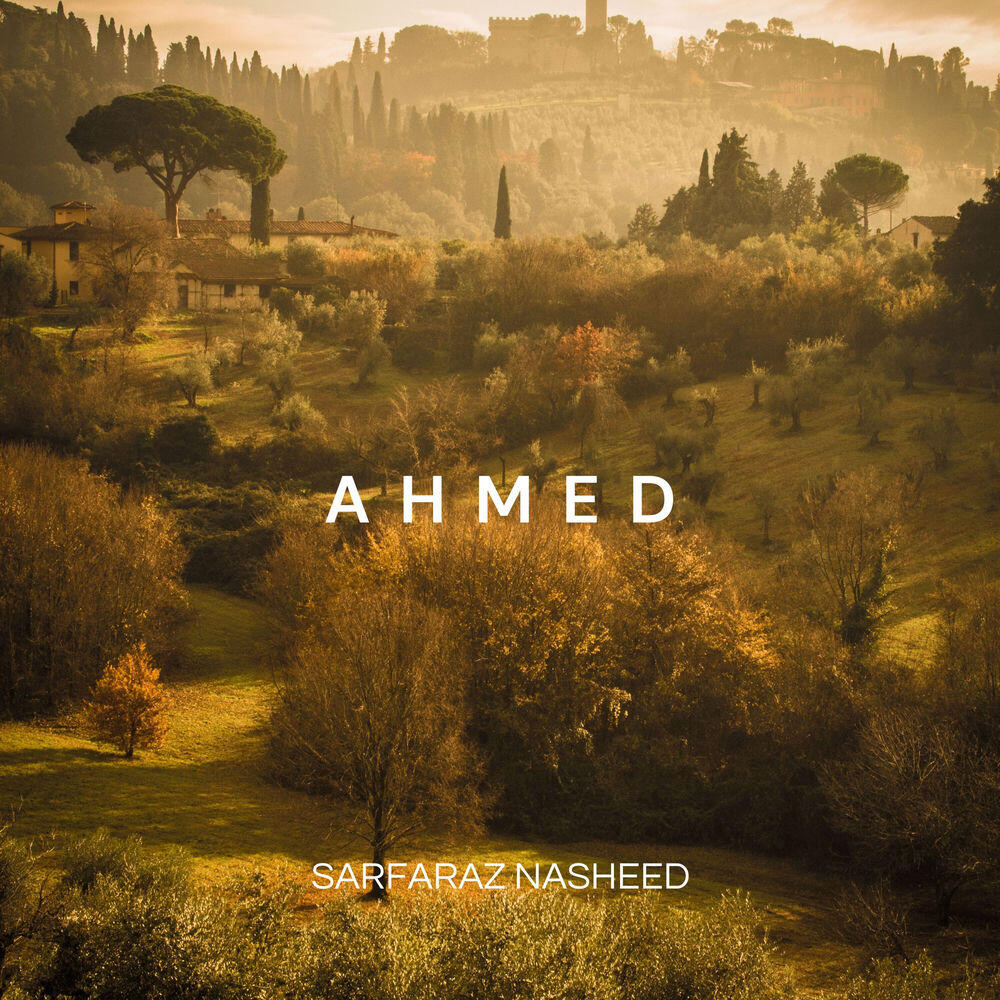 Релиз Ahmed