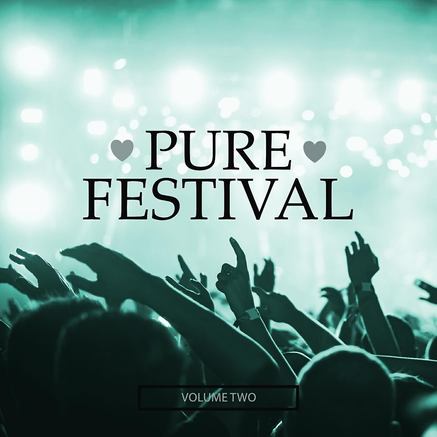 Релиз Pure Festival, Vol. 2