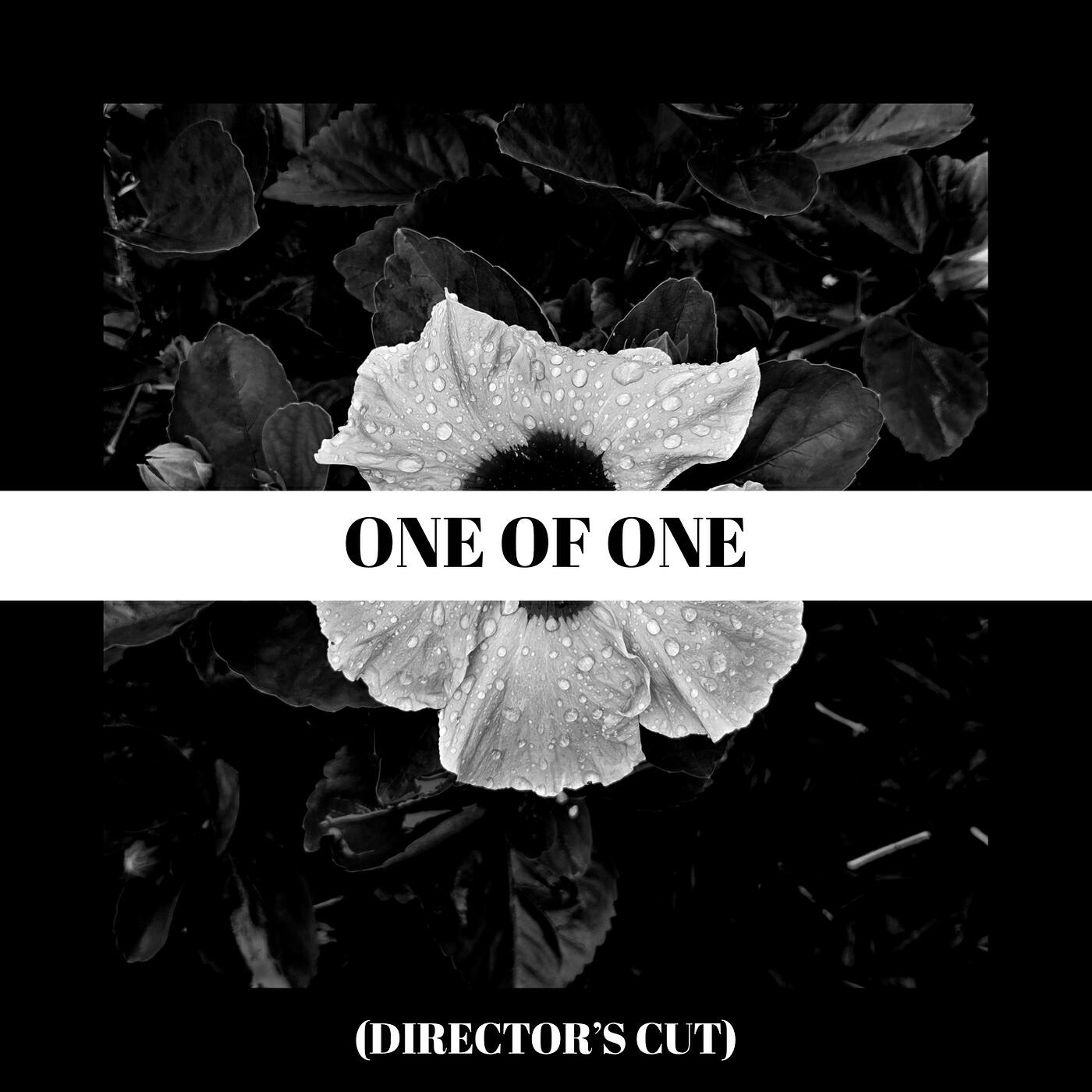 Релиз One of One (Director's Cut)