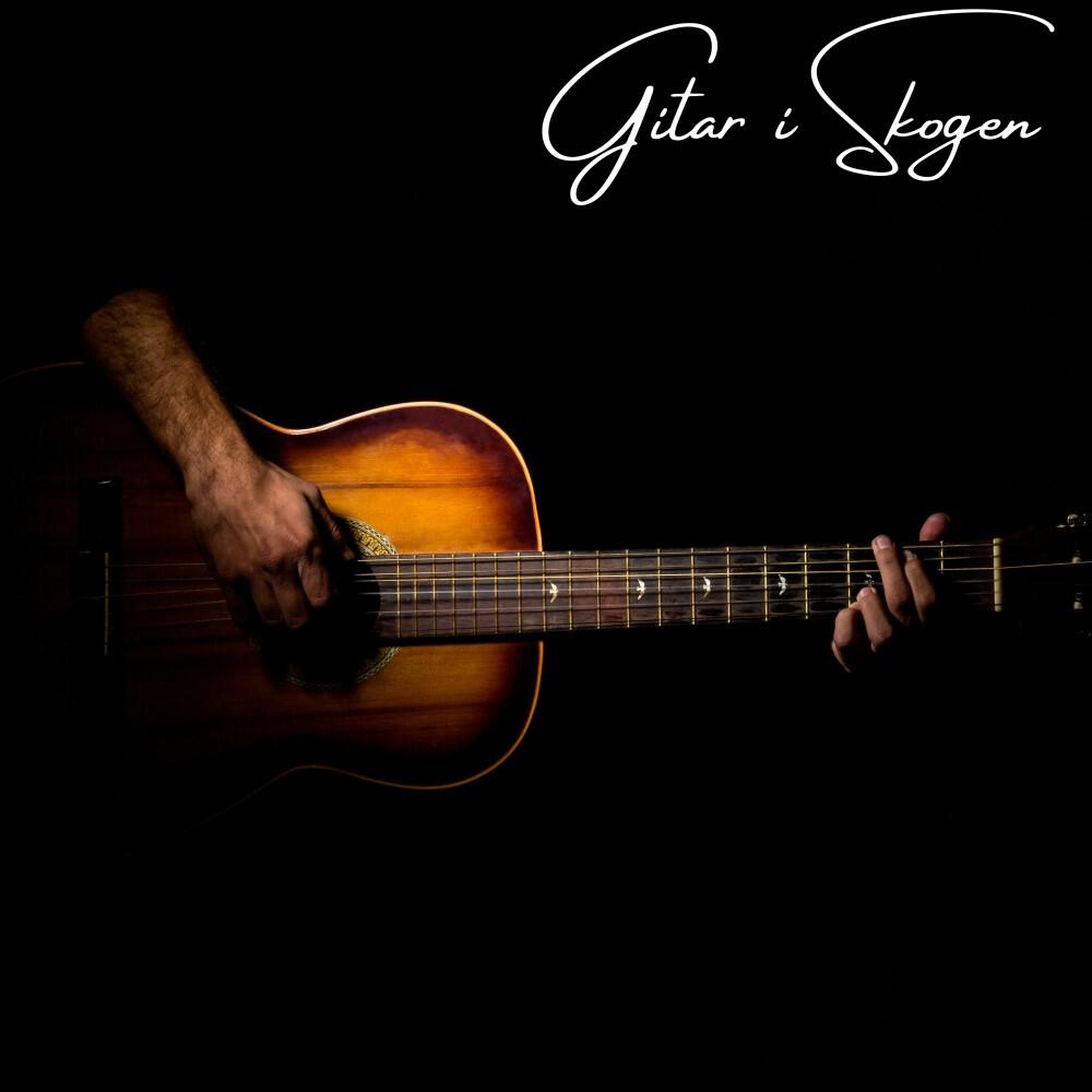 Релиз Gitar i Skogen