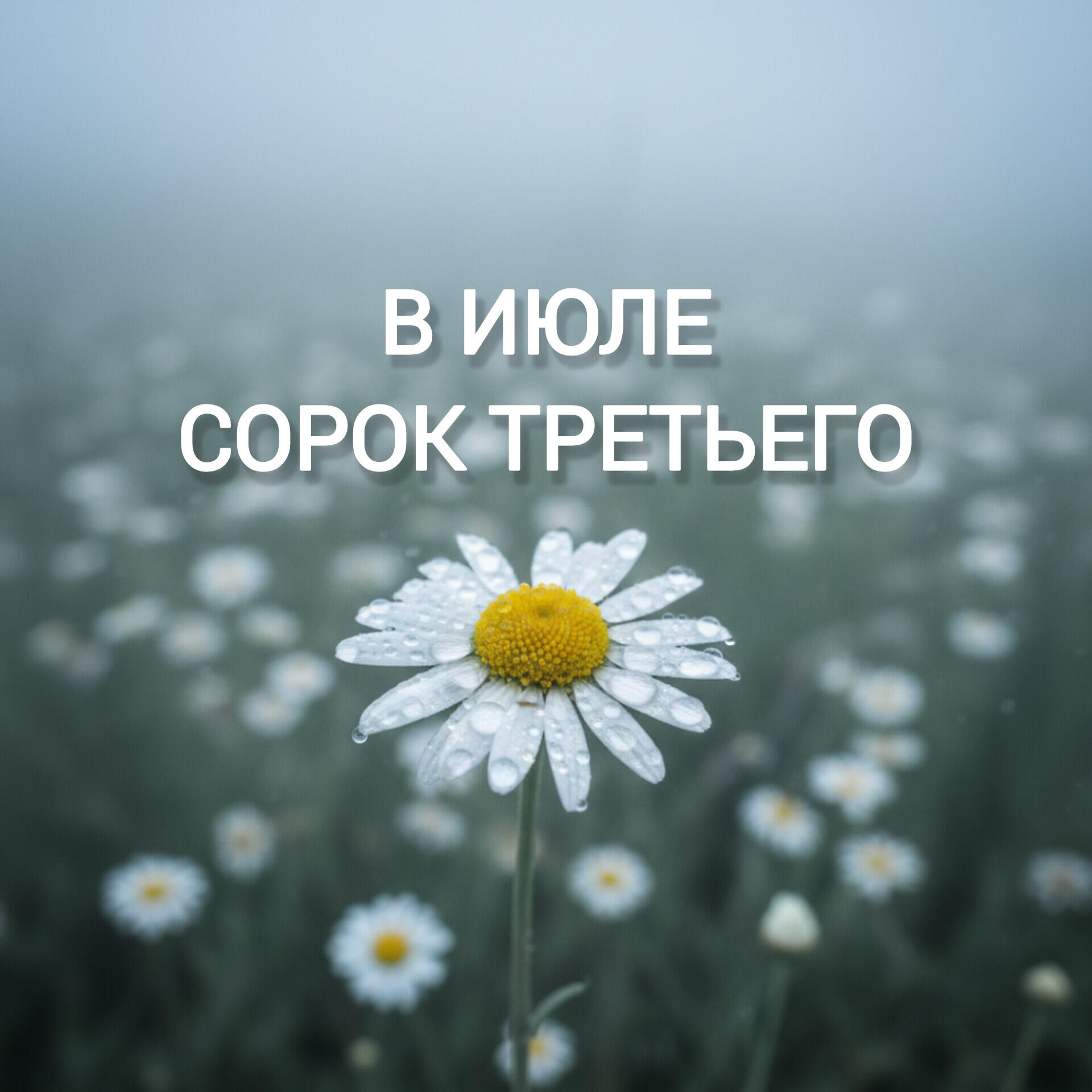 Релиз В июле сорок третьего