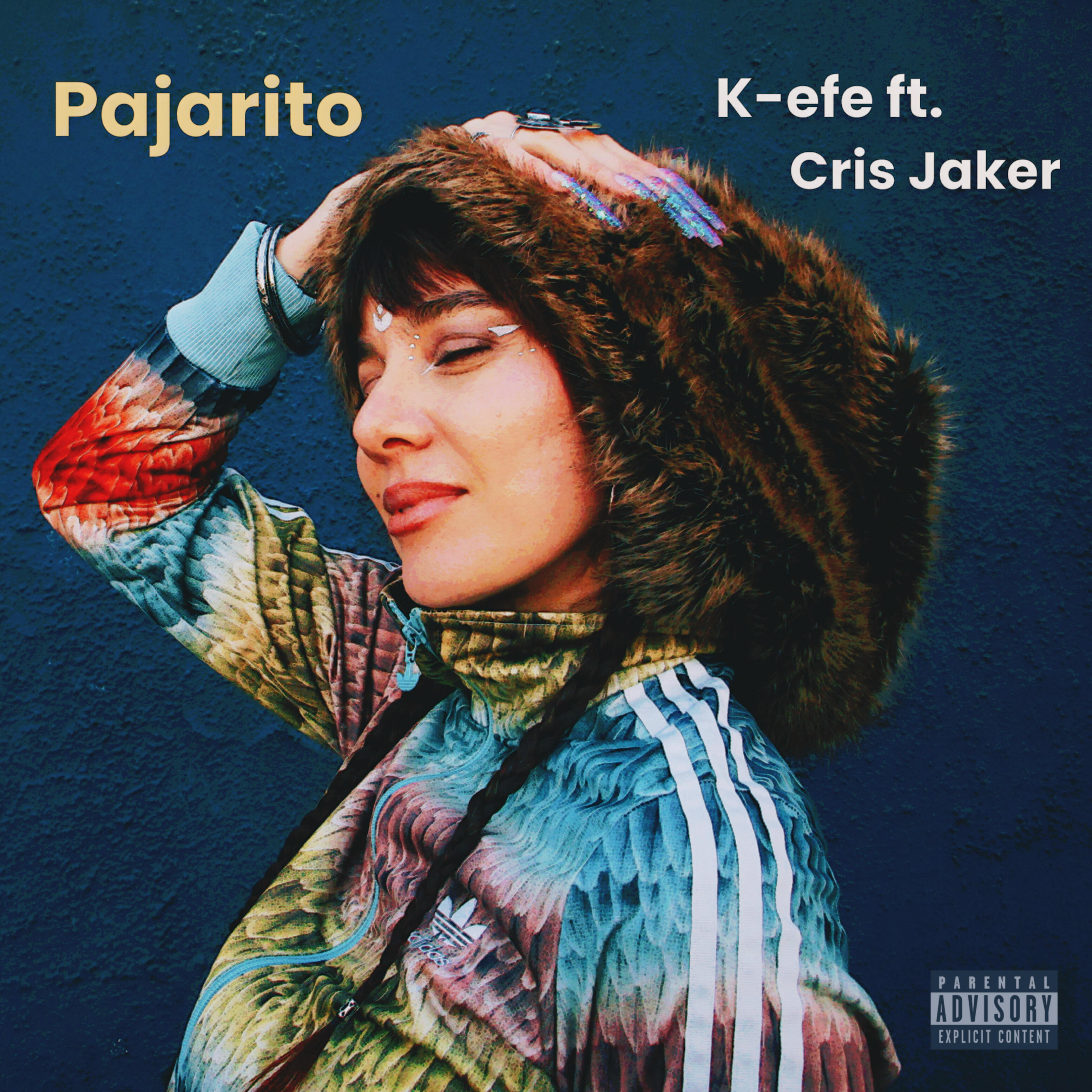Релиз Pajarito