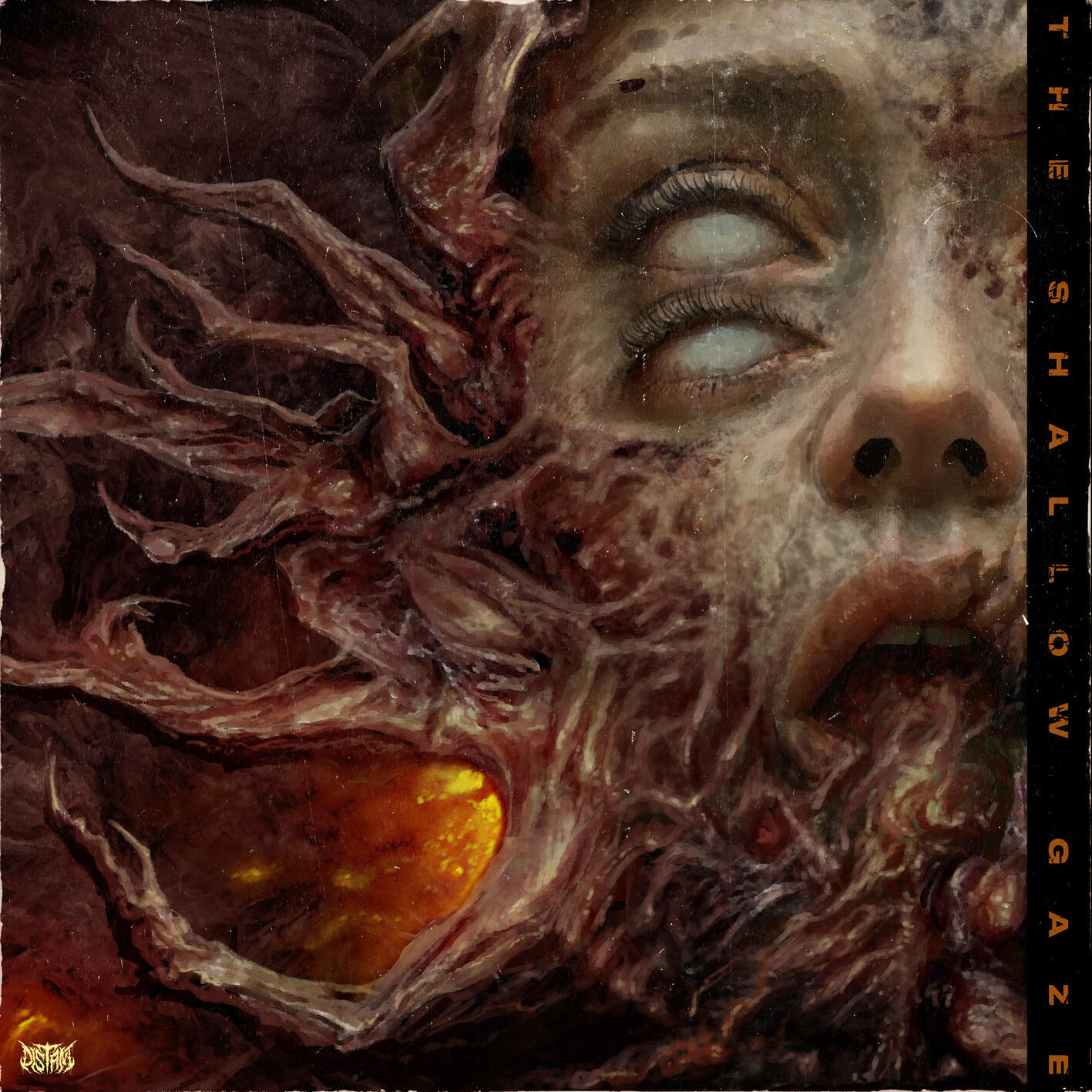 Релиз The Shallow Gaze