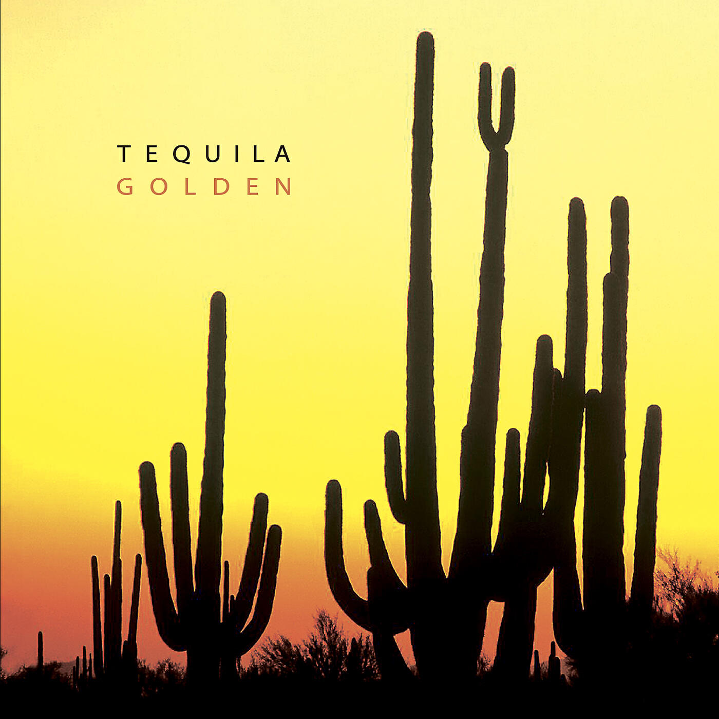 Постер альбома TEQUILA. GOLDEN