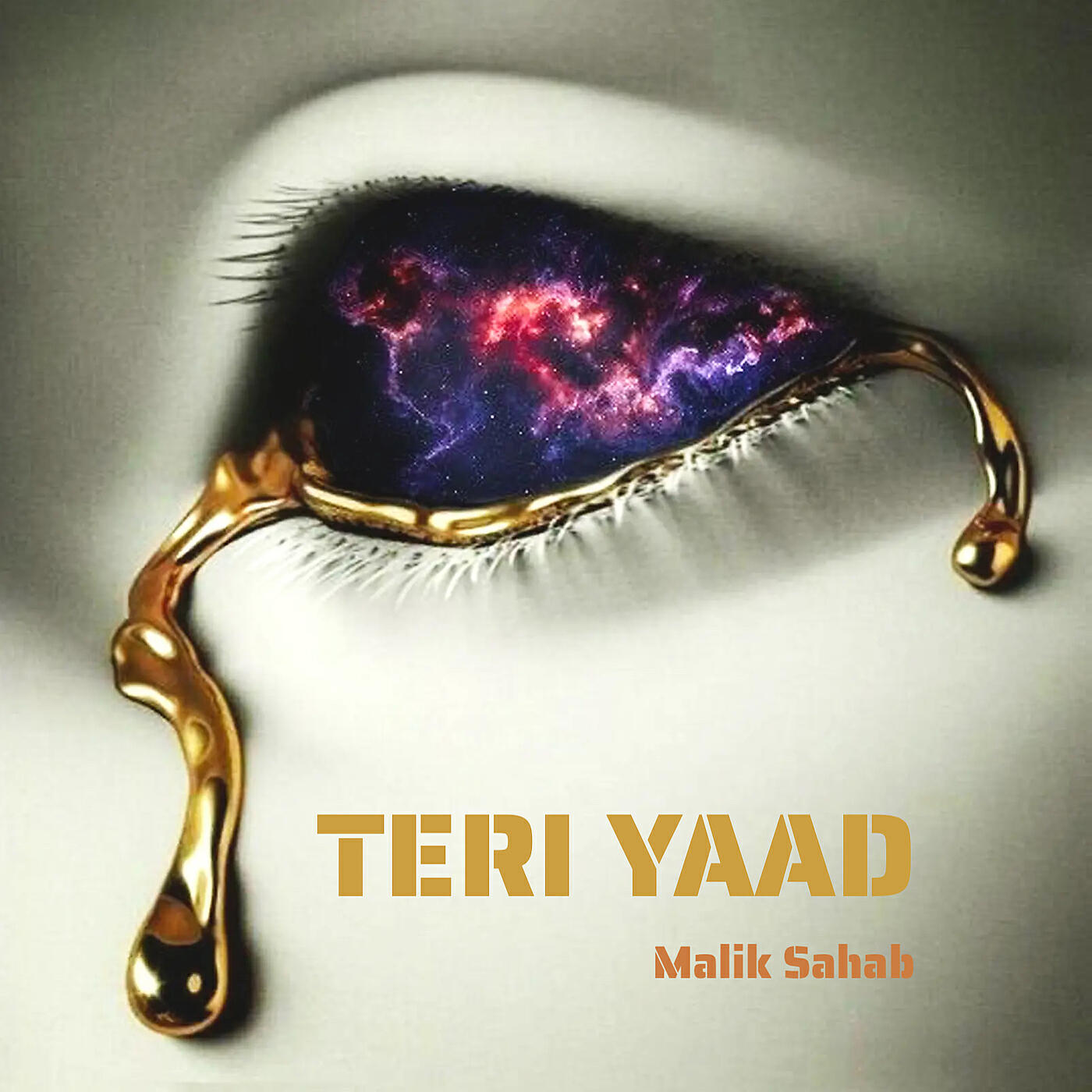 Релиз Teri Yaad
