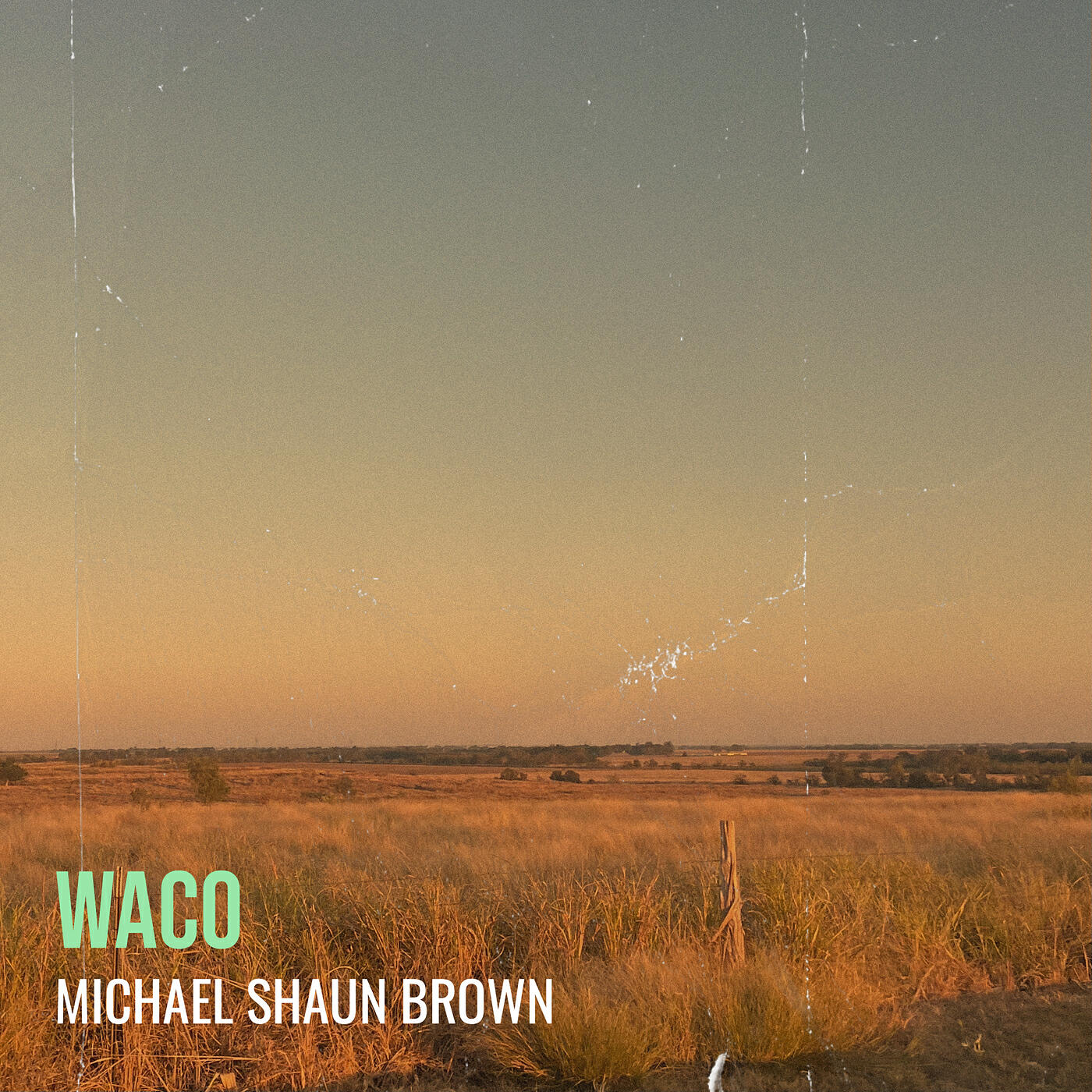 Michael Shaun Brown