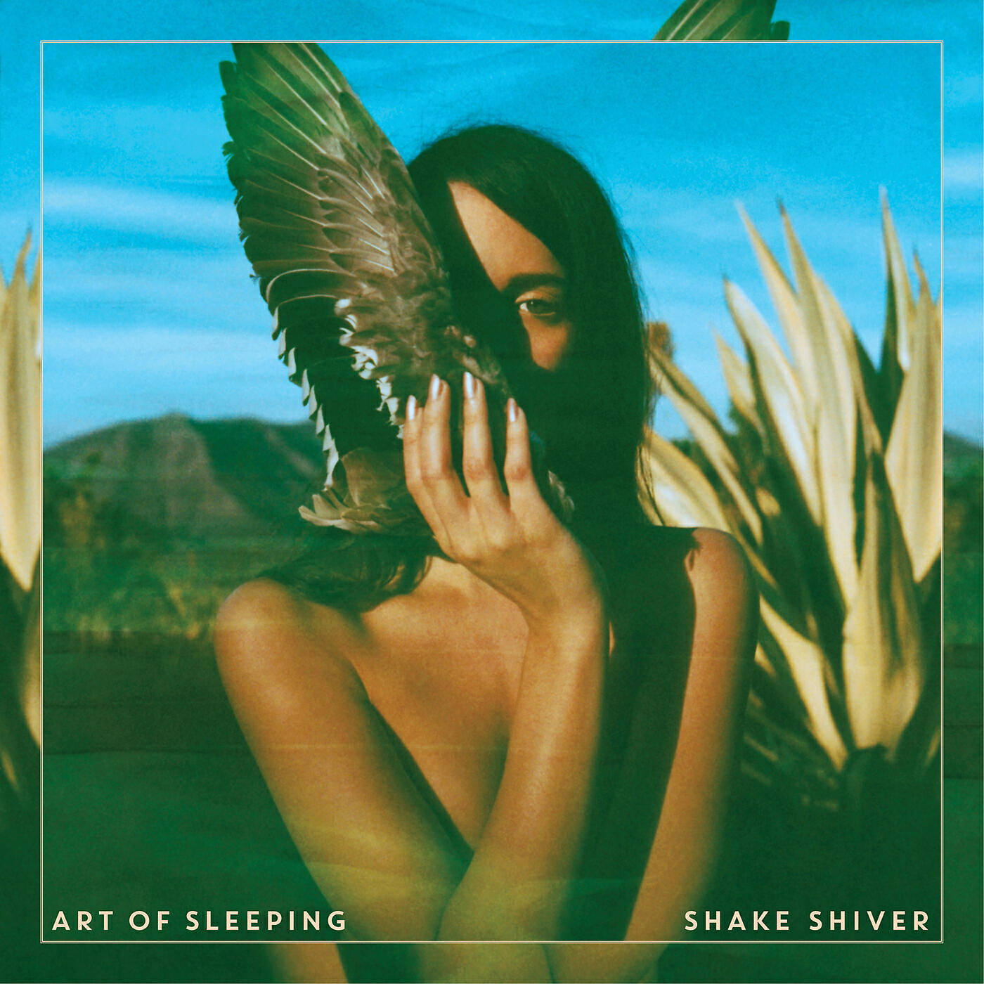 Релиз Shake Shiver