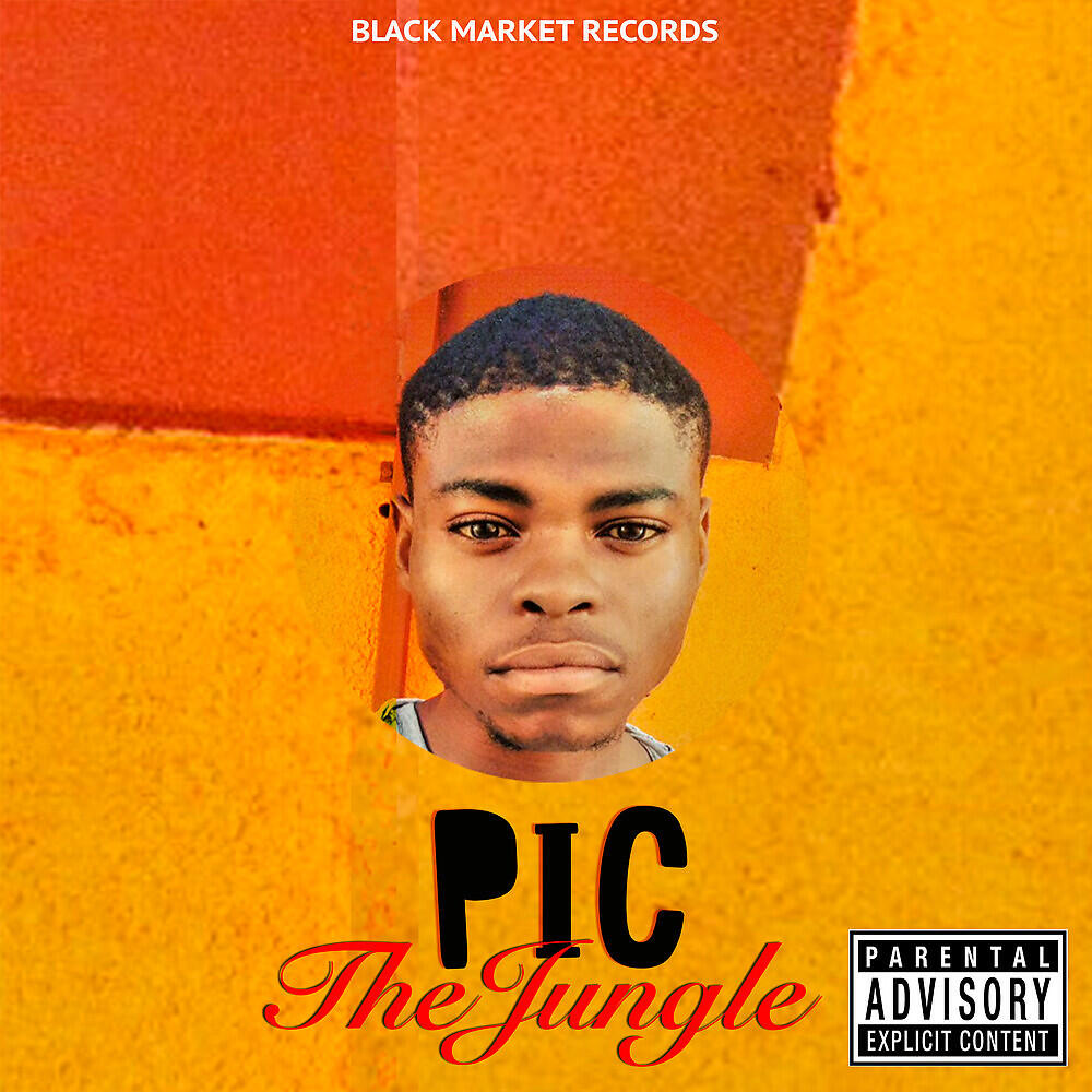 Релиз The Jungle
