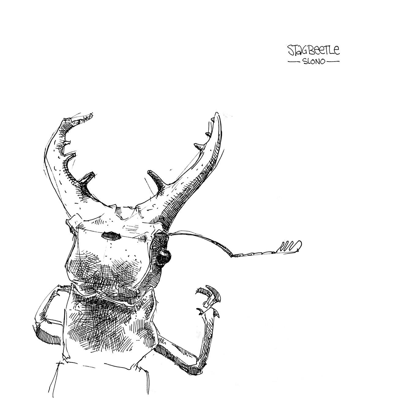 Релиз Stag Beetle EP