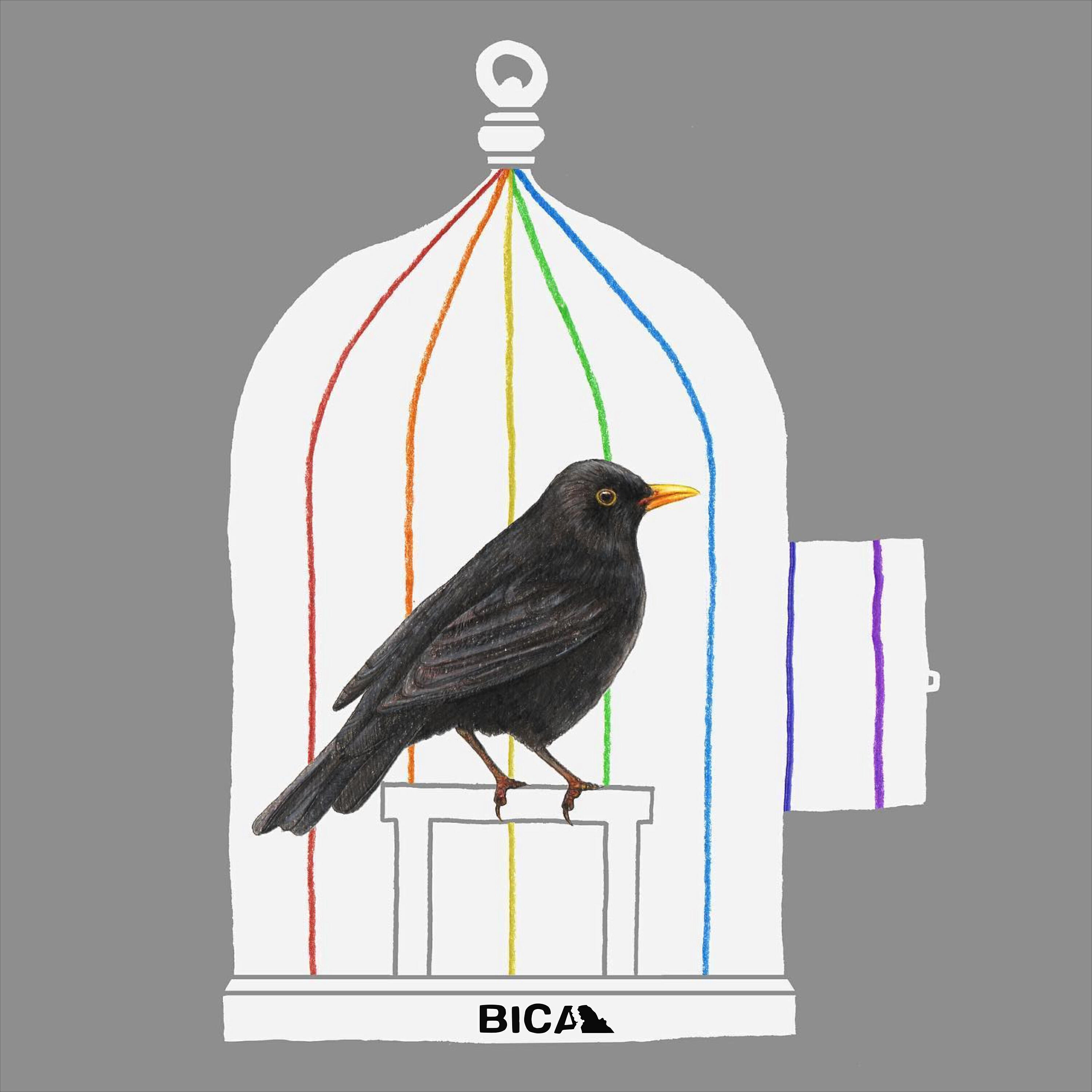 Релиз Deryn Du (FRMAND Remix)