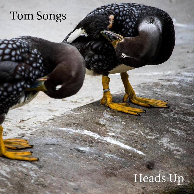 Tom Songs