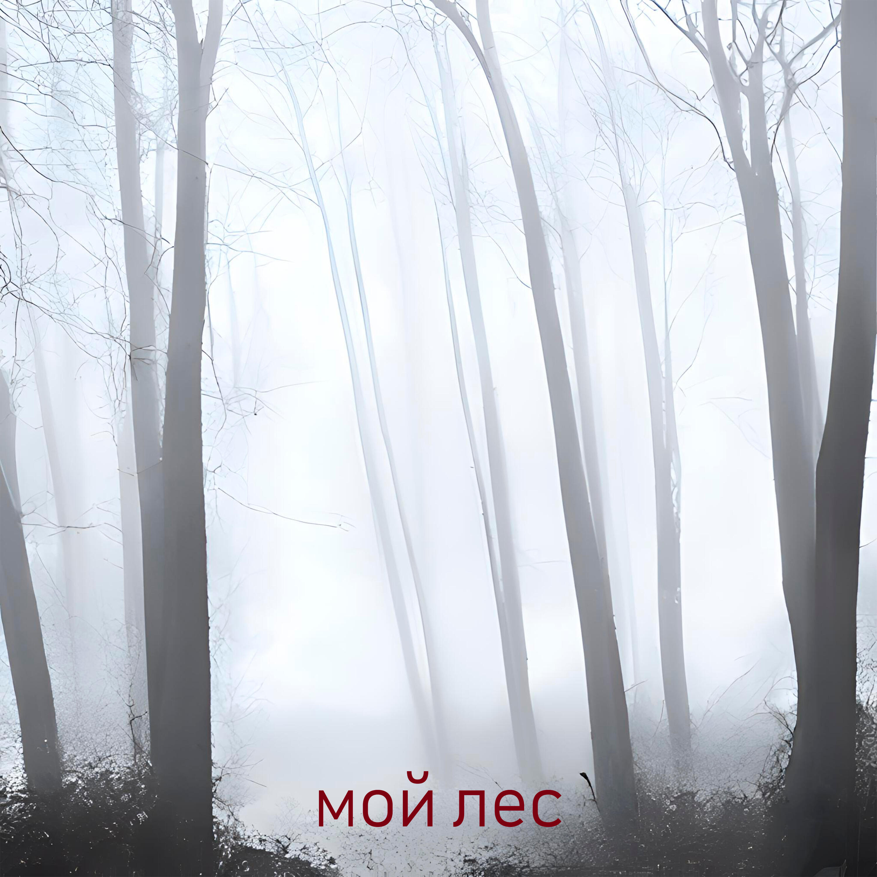 Релиз Мой лес