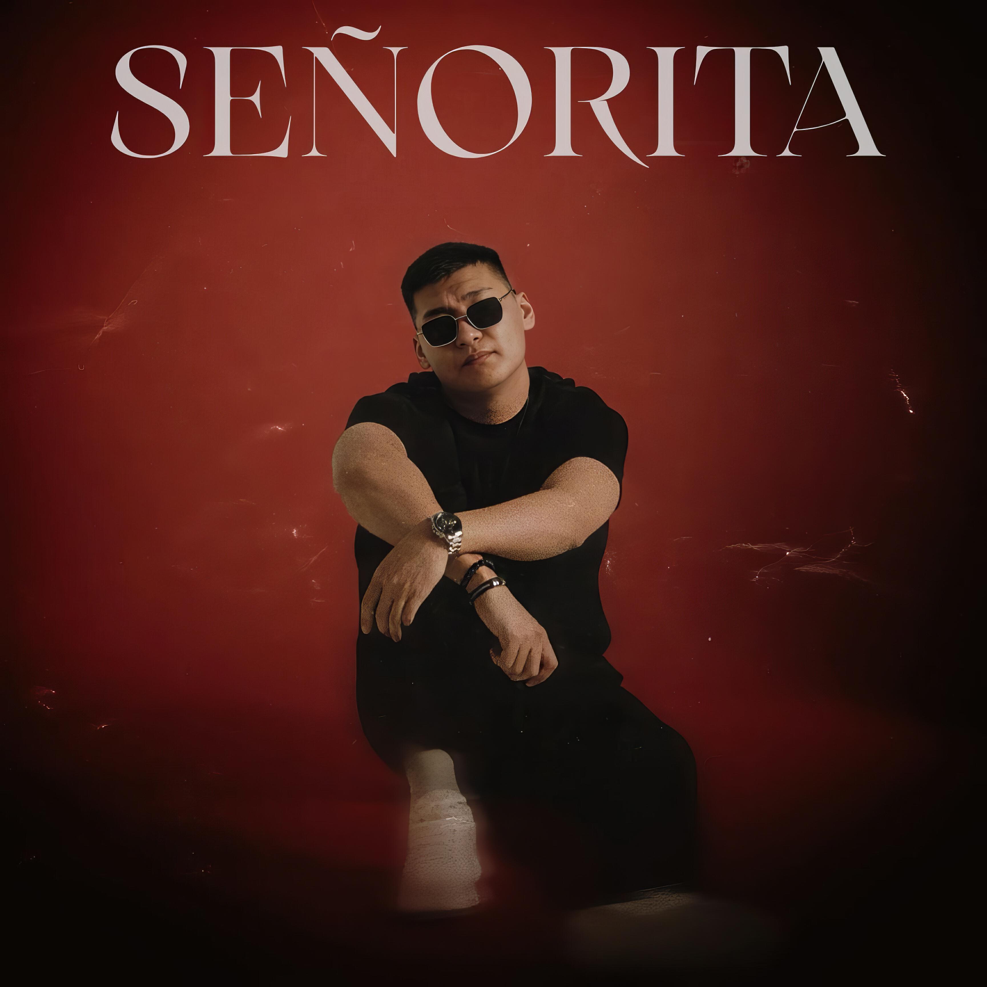 Релиз SEÑORITA