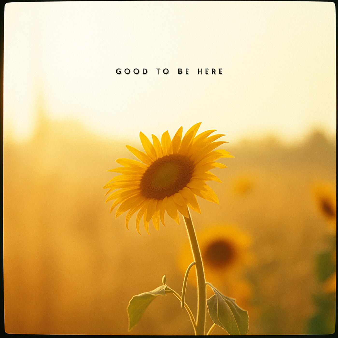 Релиз Good to Be Here