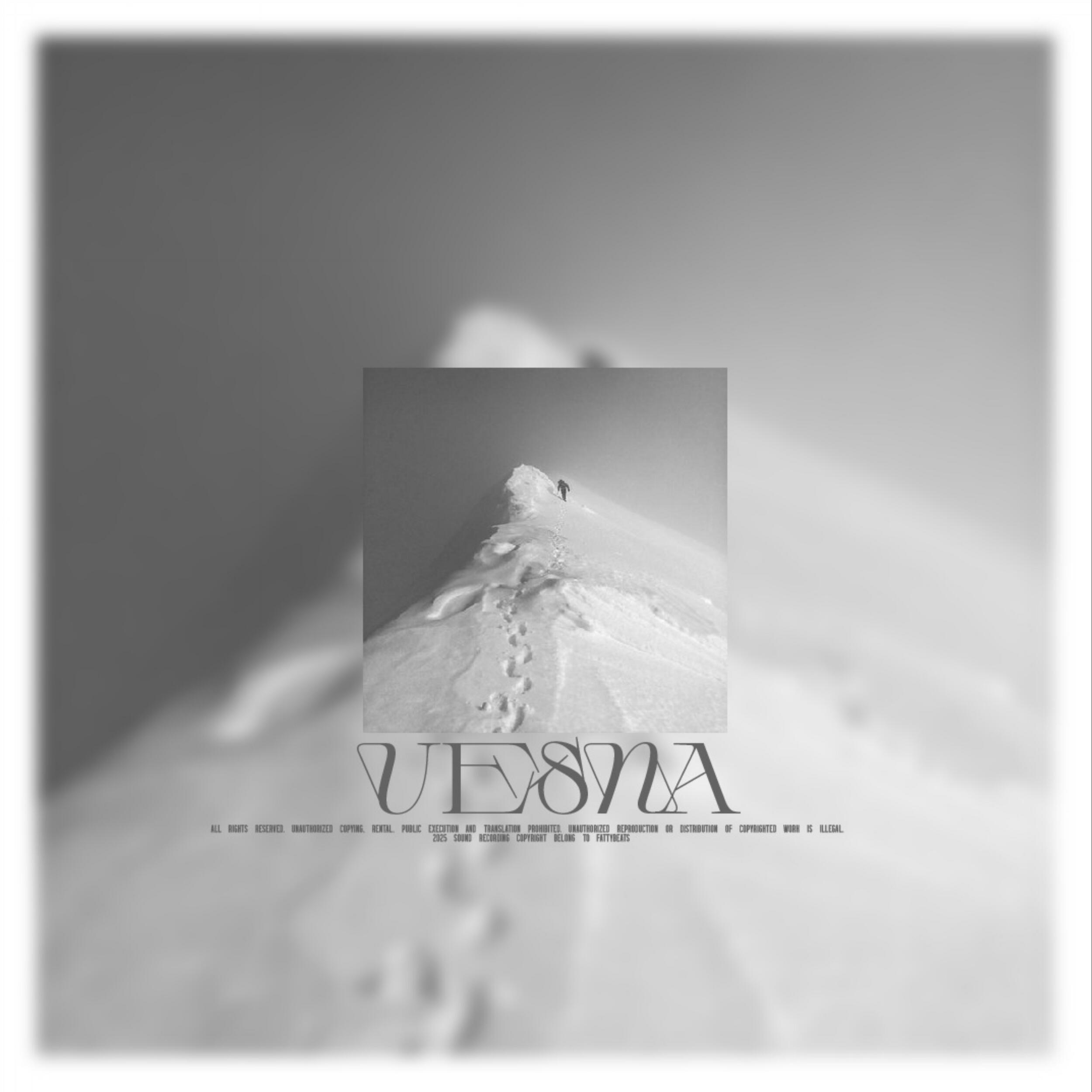 Релиз Vesna