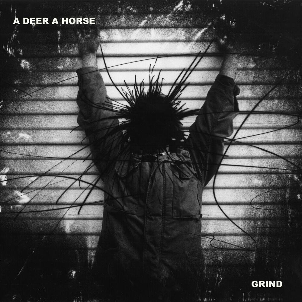 A Deer A Horse