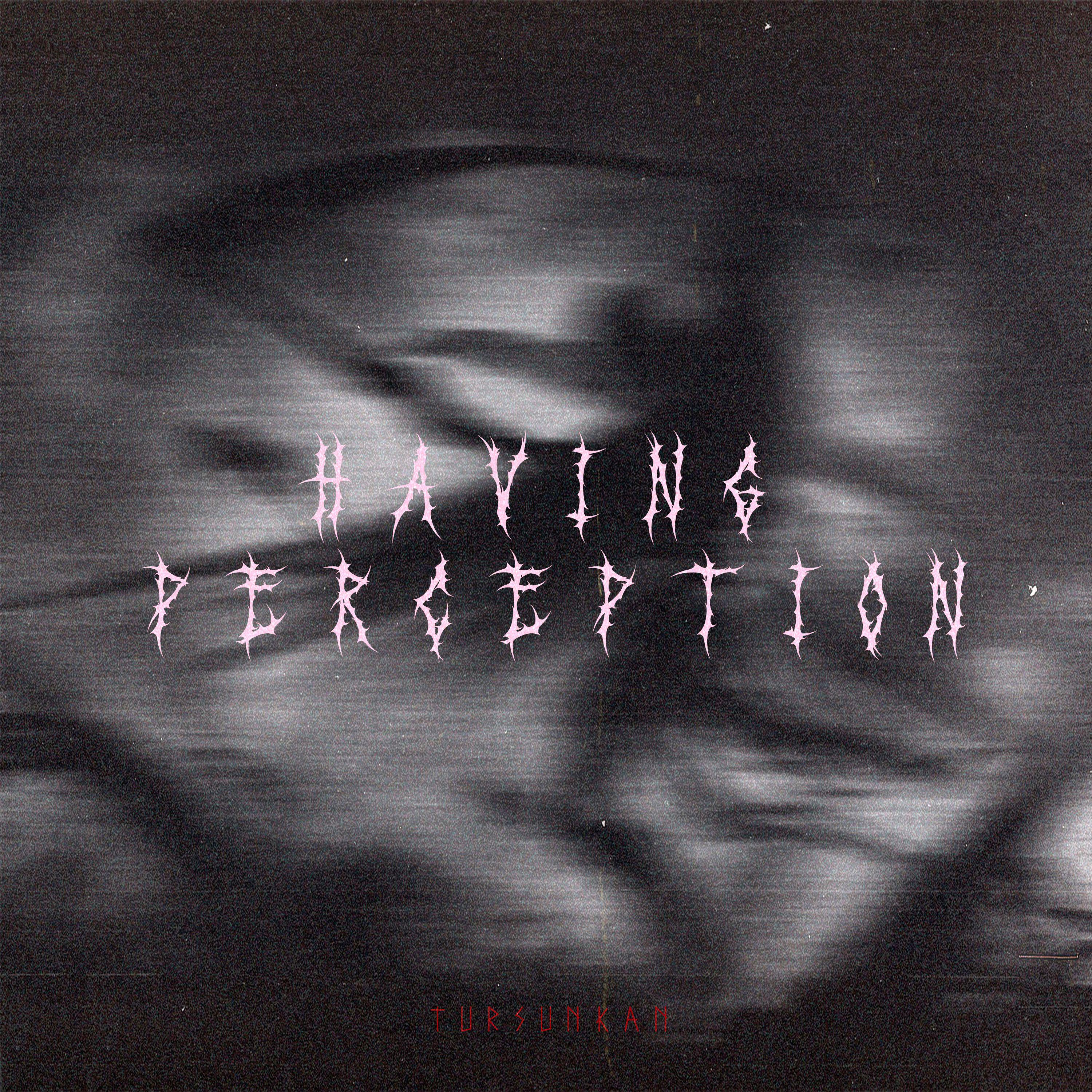 Постер альбома Having perception