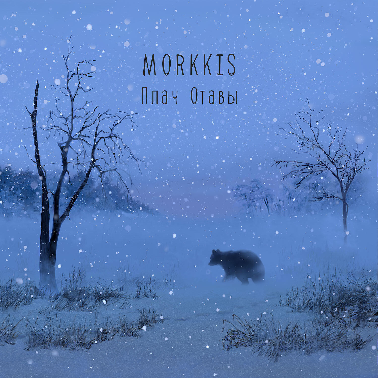 Morkkis