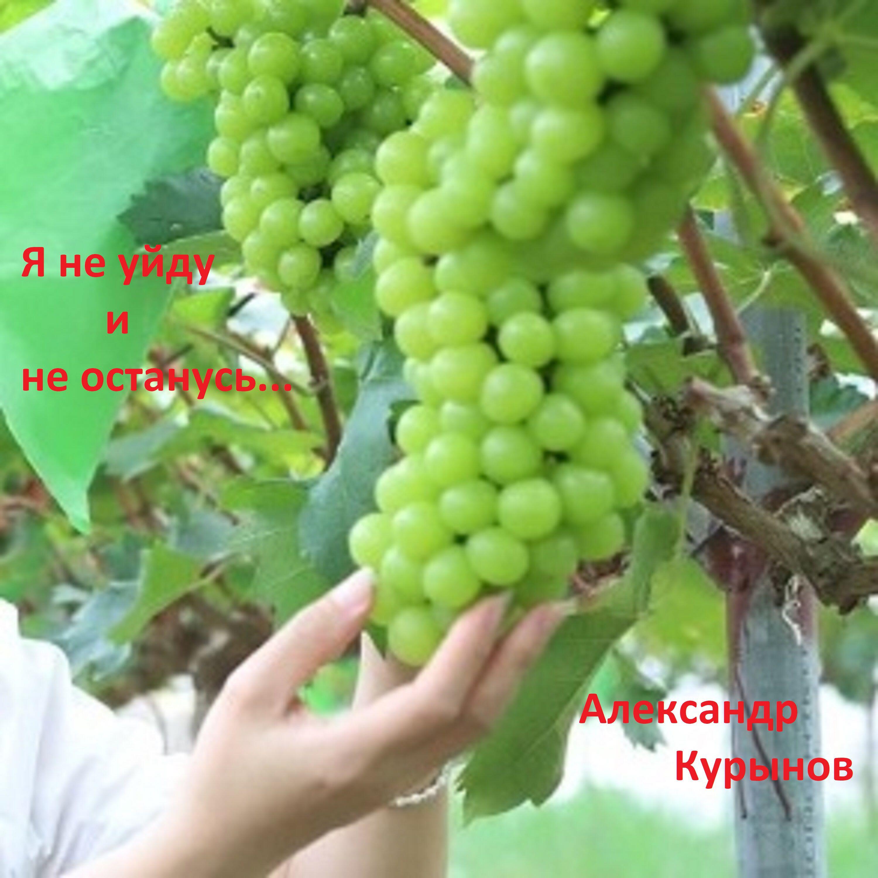 Релиз Я не уйду и не останусь...