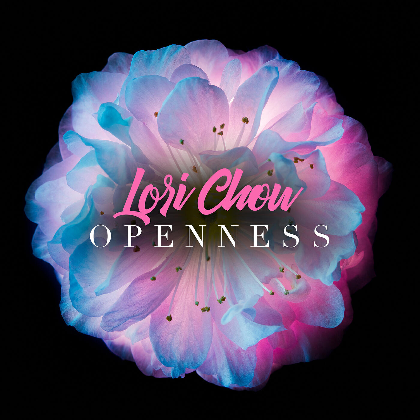 Релиз Openness