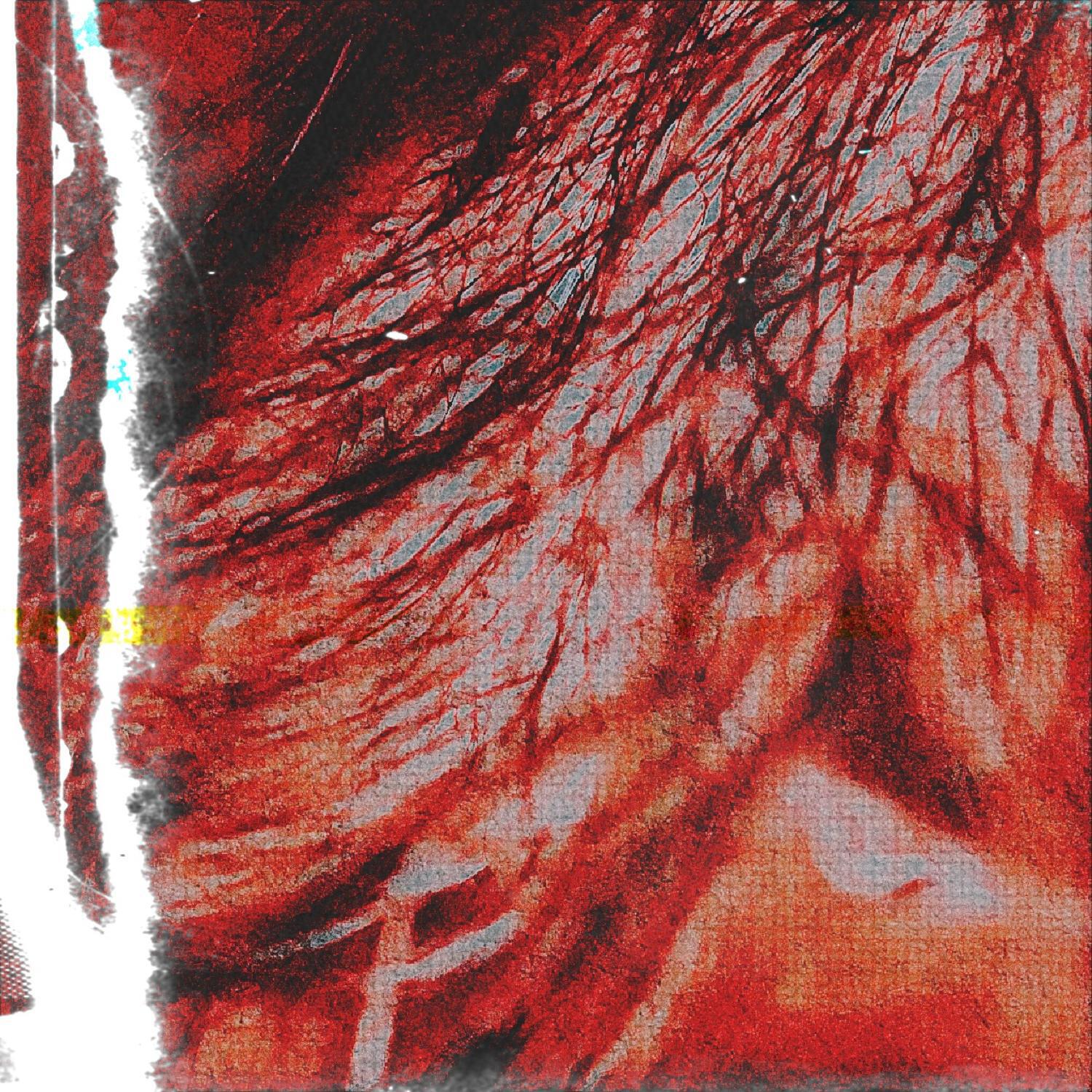 Релиз VOICES IN MY HEAD