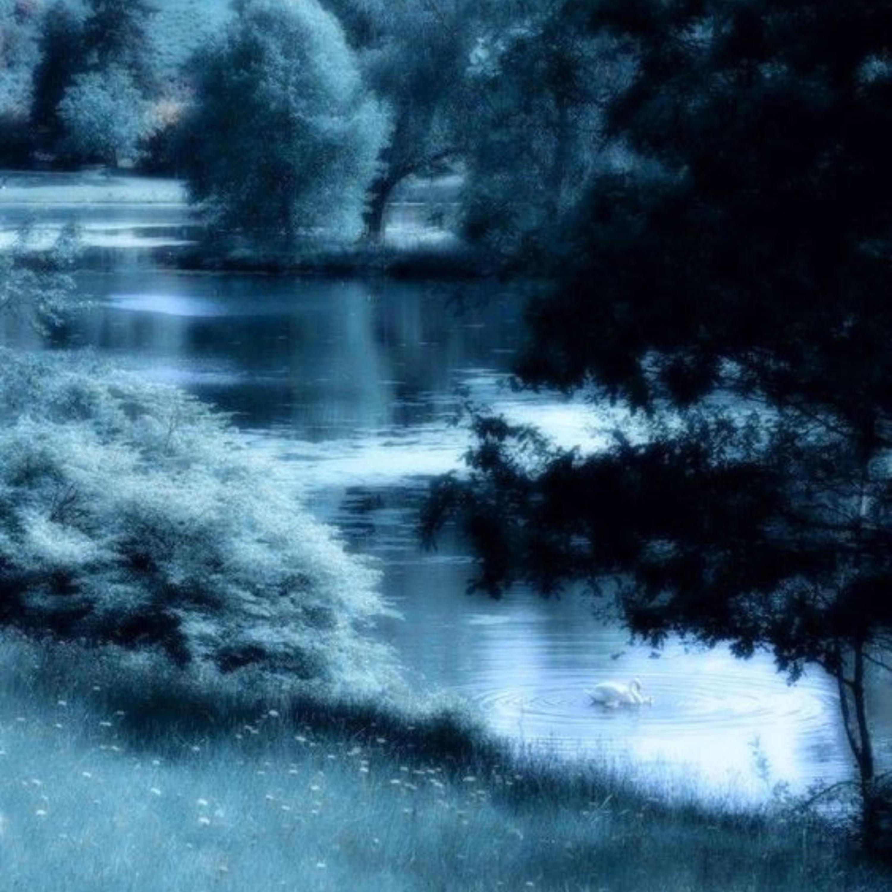 Релиз Cold and Warm in Winter