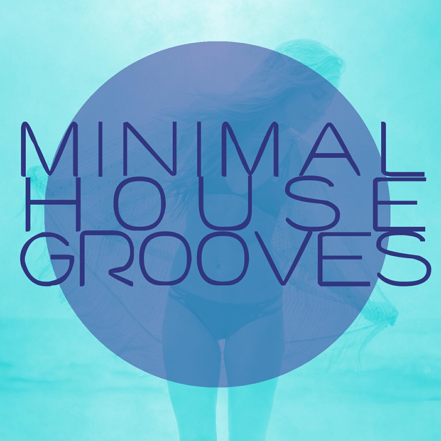 Релиз Minimal House Grooves, Vol. 1