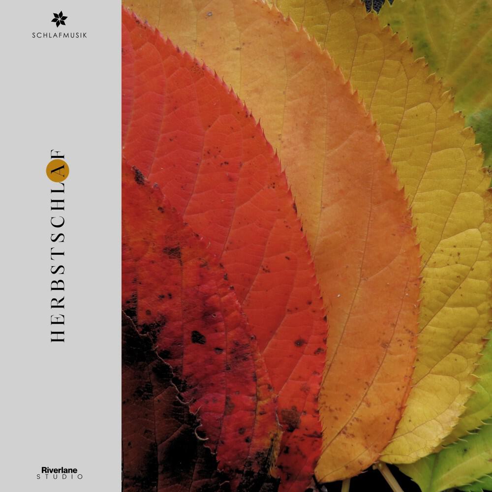 Релиз Herbstschlaf