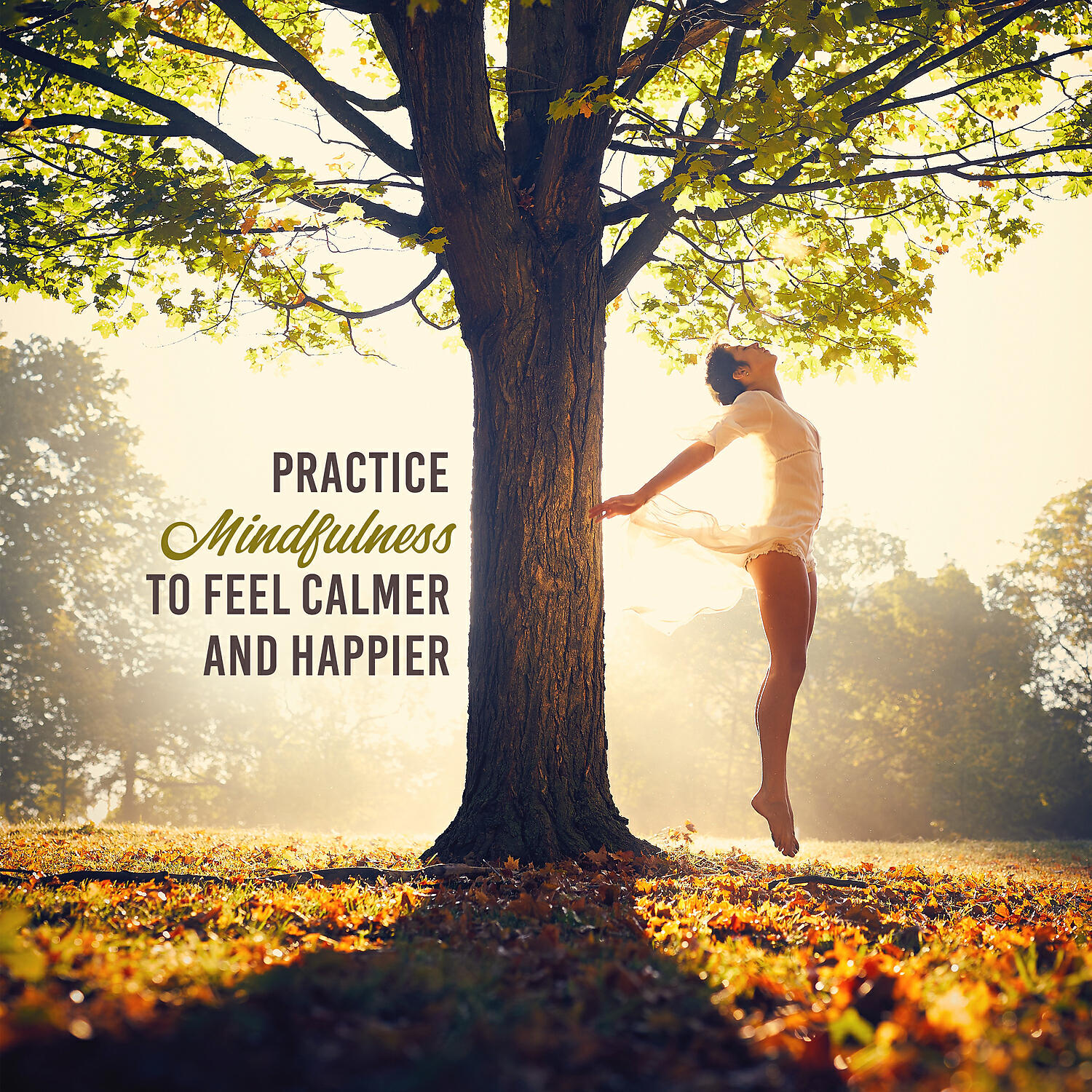 Релиз Practice Mindfulness to Feel Calmer and Happier: Cleanse Negative Energy, Stabilize Yourself, Yoga & Meditation Music
