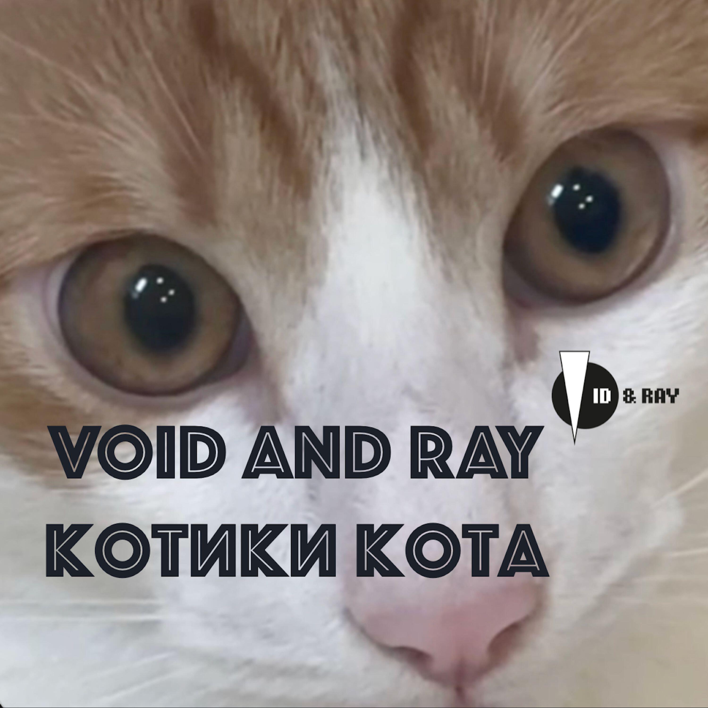 Релиз Котики кота
