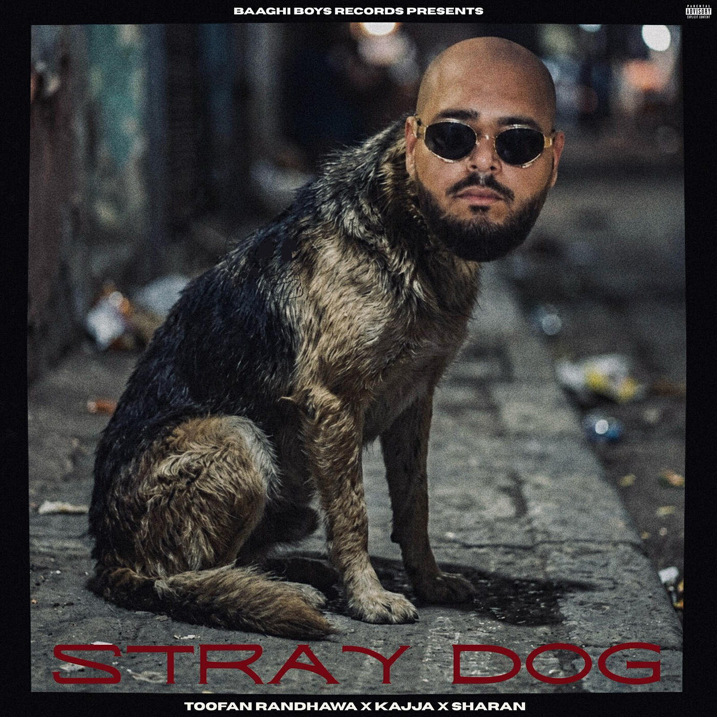 Релиз Stray Dog