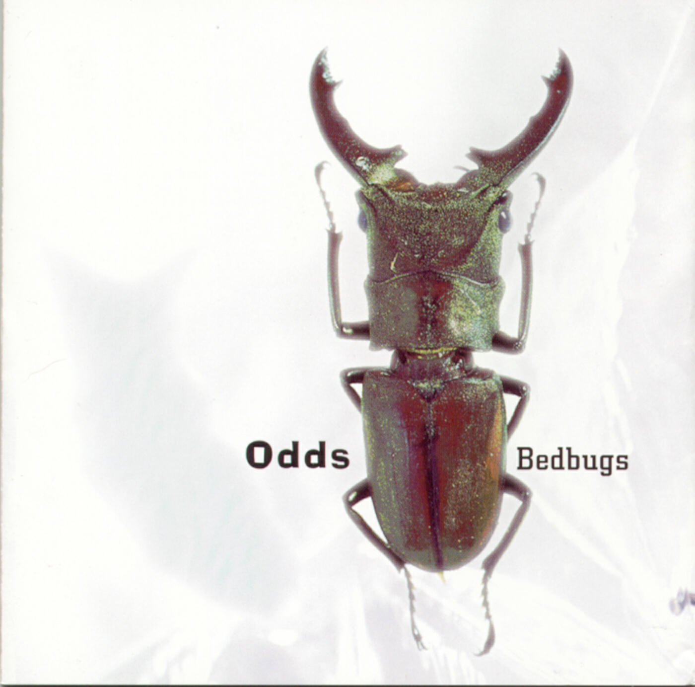 Релиз Bedbugs