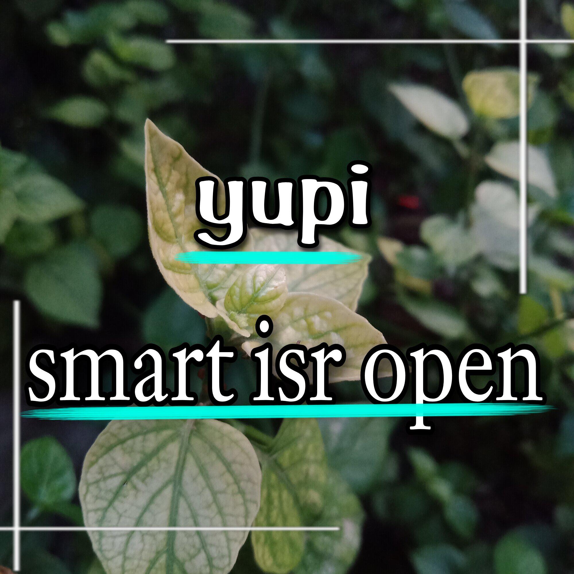 Постер альбома smart isr open