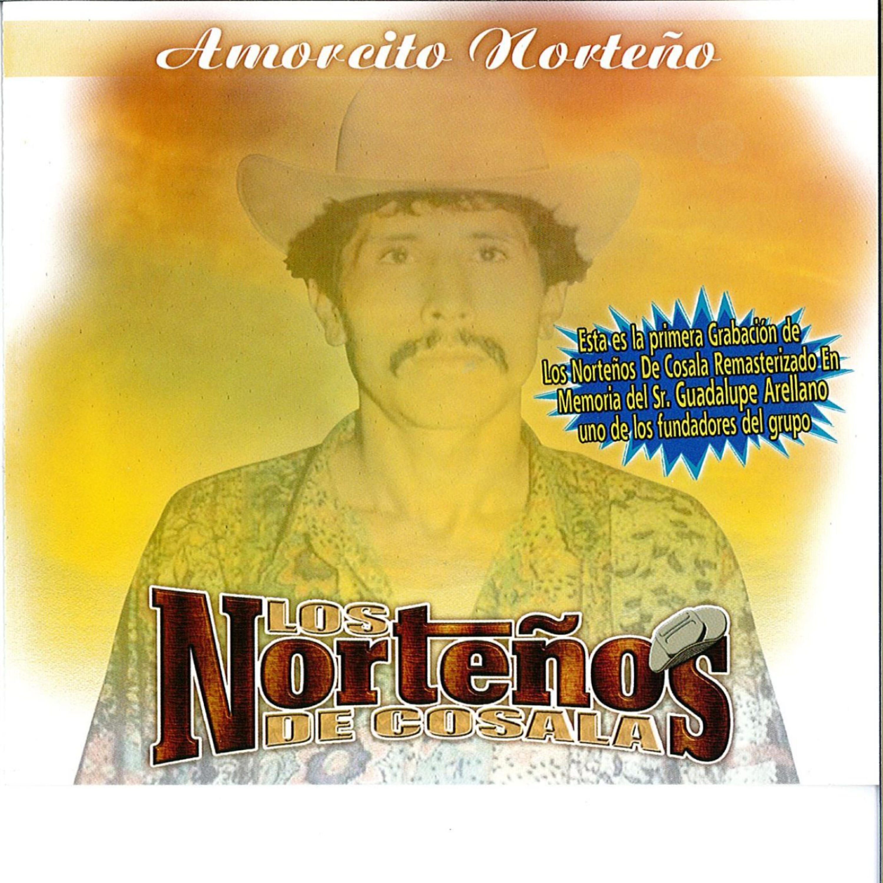 Релиз Amorcito Norteno