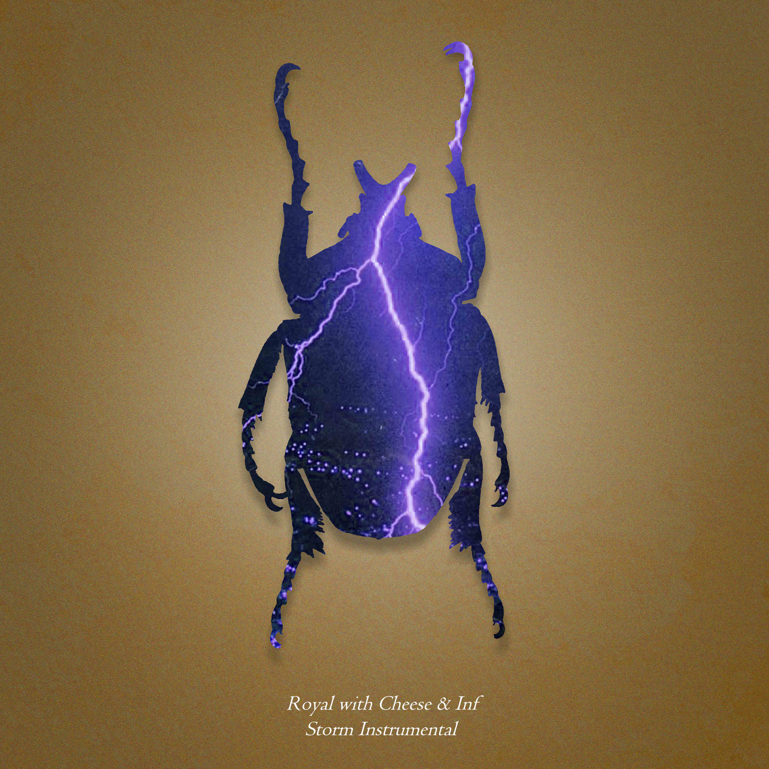 Релиз Storm