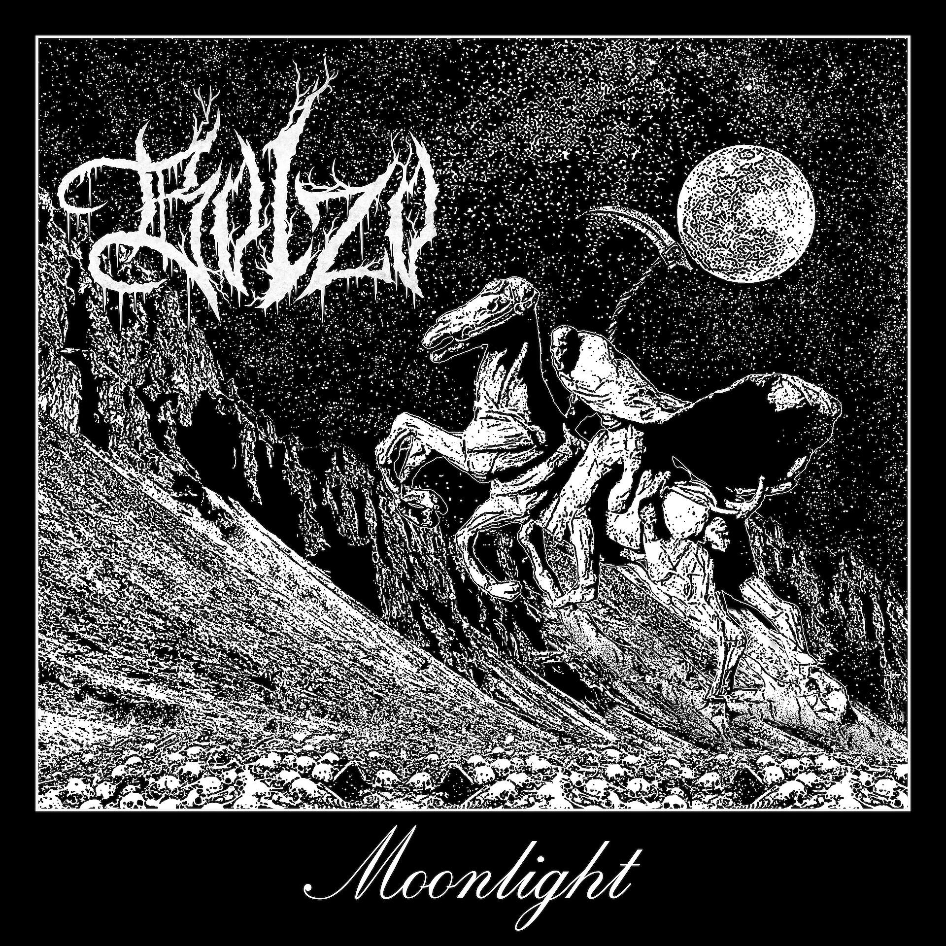 Постер альбома Moonlight