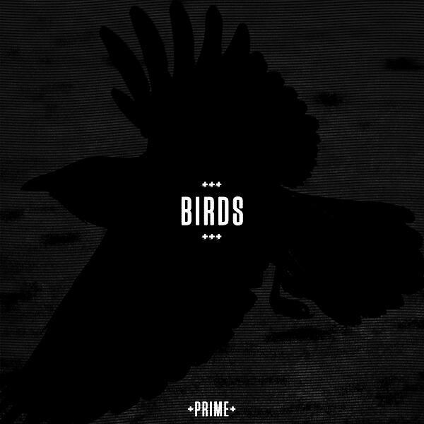 Релиз Birds