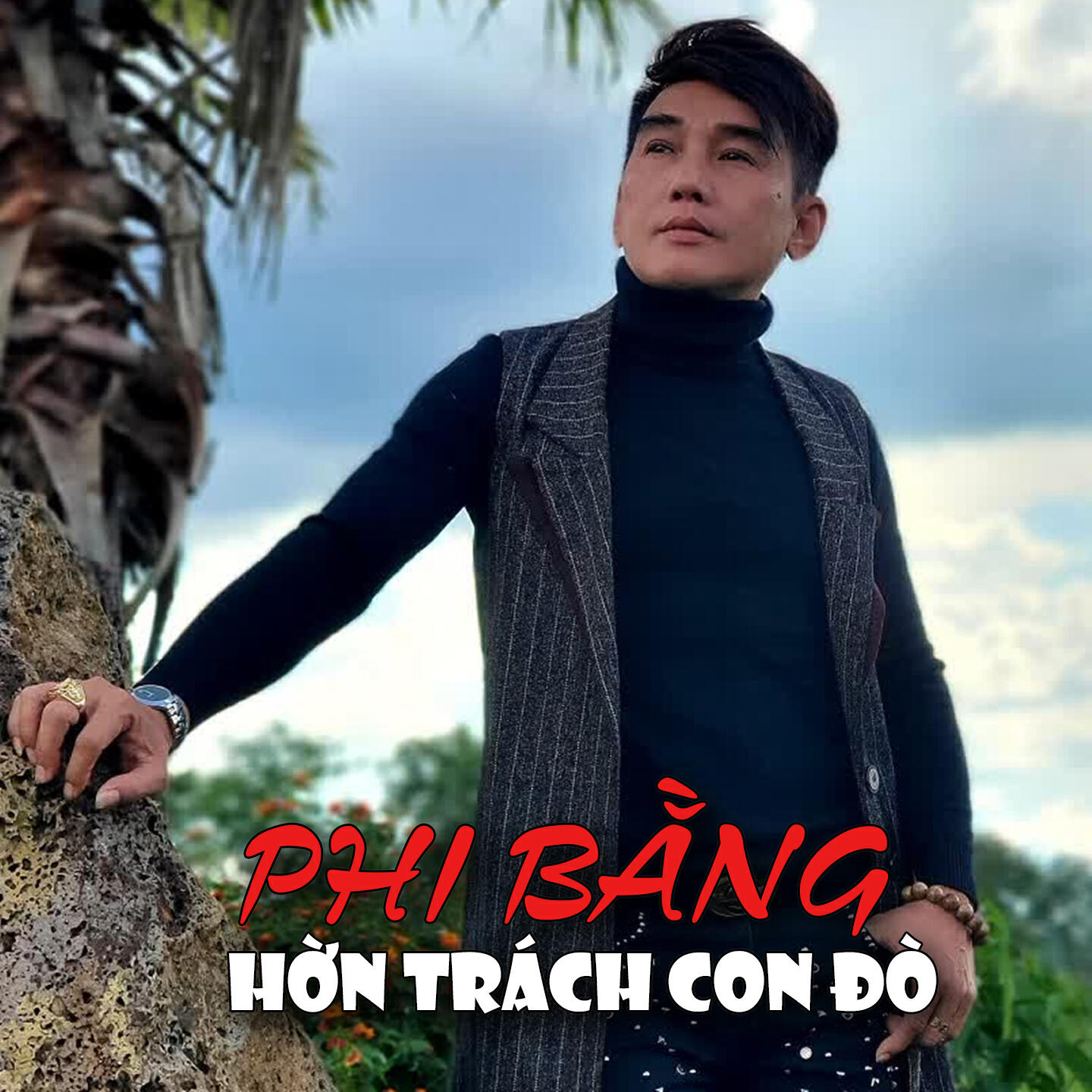 Релиз Hờn Trách Con Đò