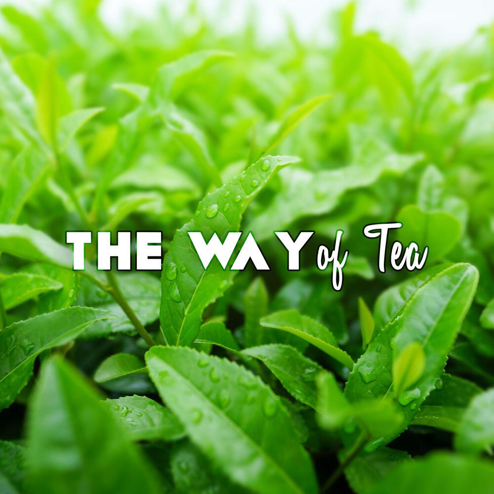 Релиз The Way of Tea - A Wonderful Refreshment (Enjoy Tea Drinking, Traditional Chinese & Japanese Instruments, Pure & Simple)