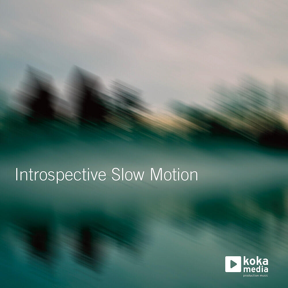 Релиз Introspective Slow Motion