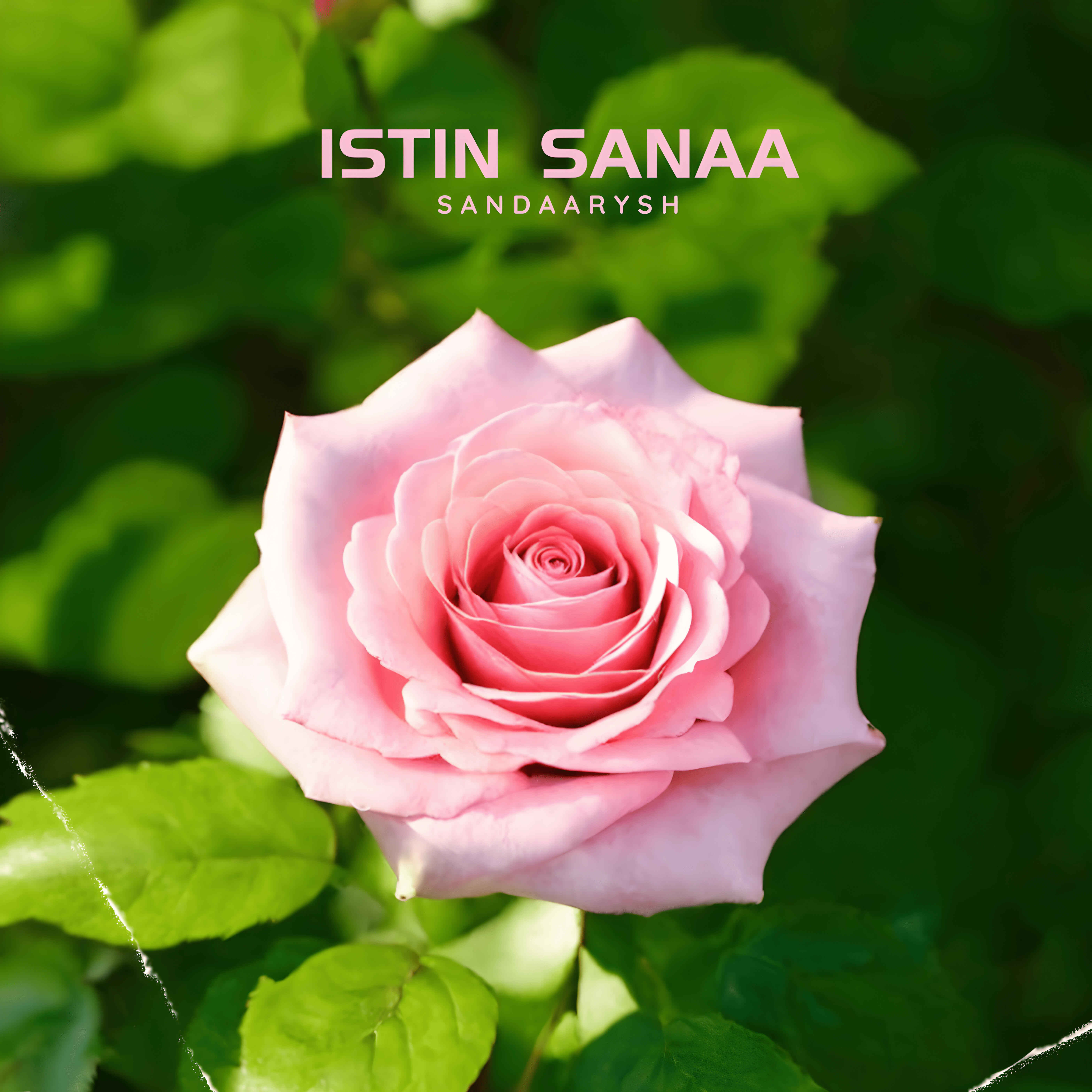 sandaarysh